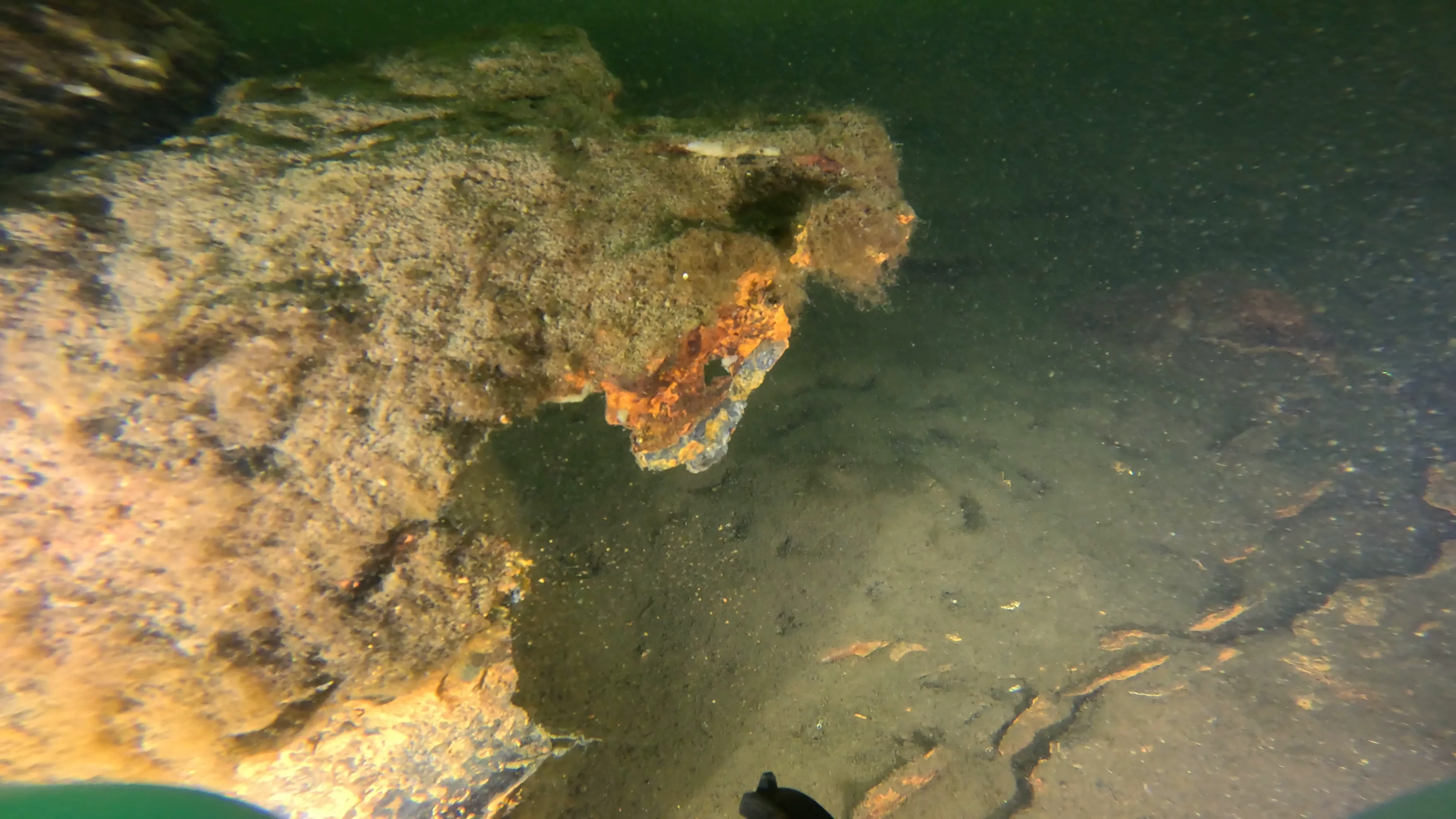 Sunken Metal Boat & Dock Debris (LU081), Lake Union, Seattle, WA — photo 19 of 19