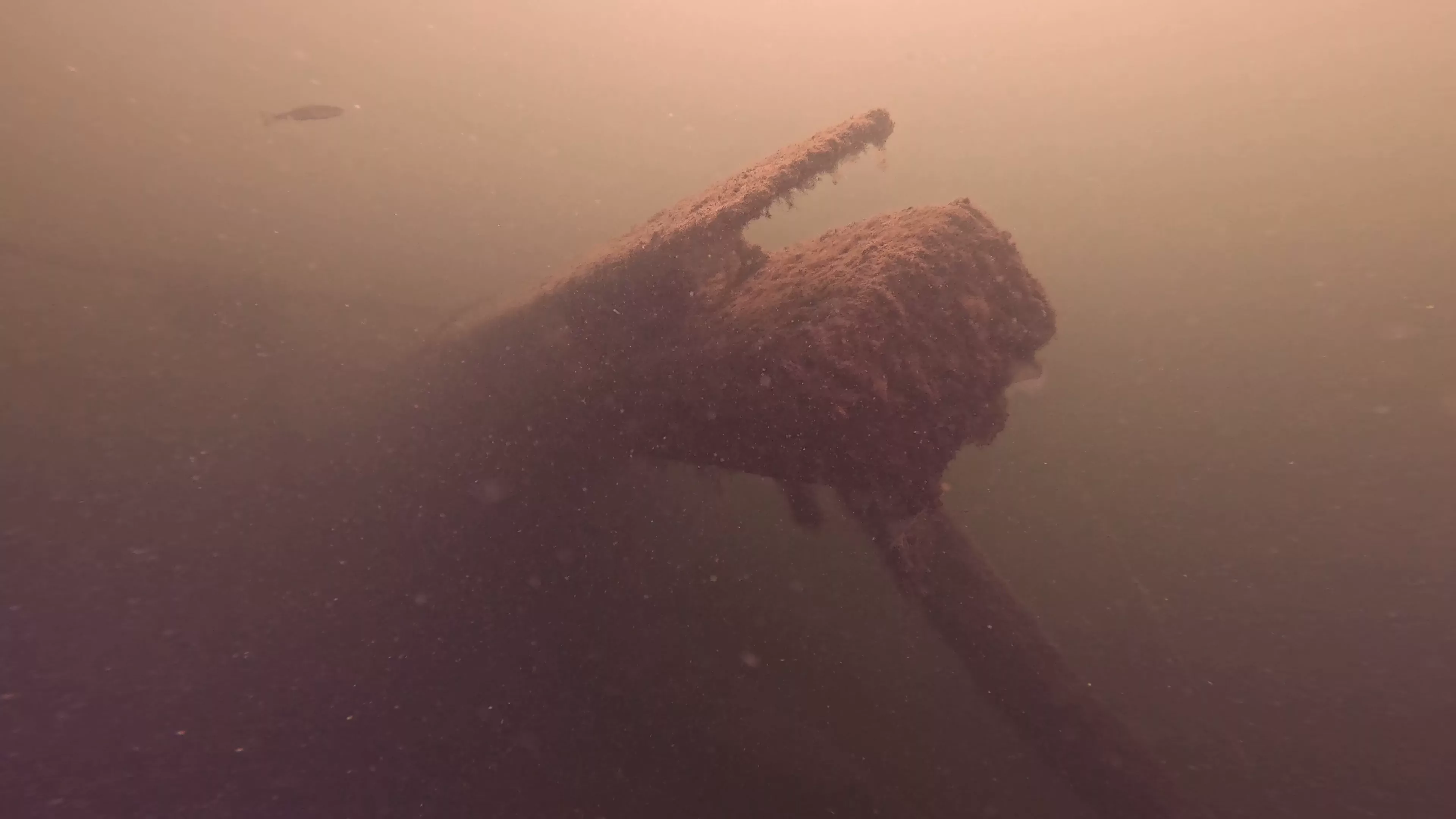 Mixed-Material Work Boat Wreck (LU082), Lake Union, Seattle, WA — photo 2 of 17