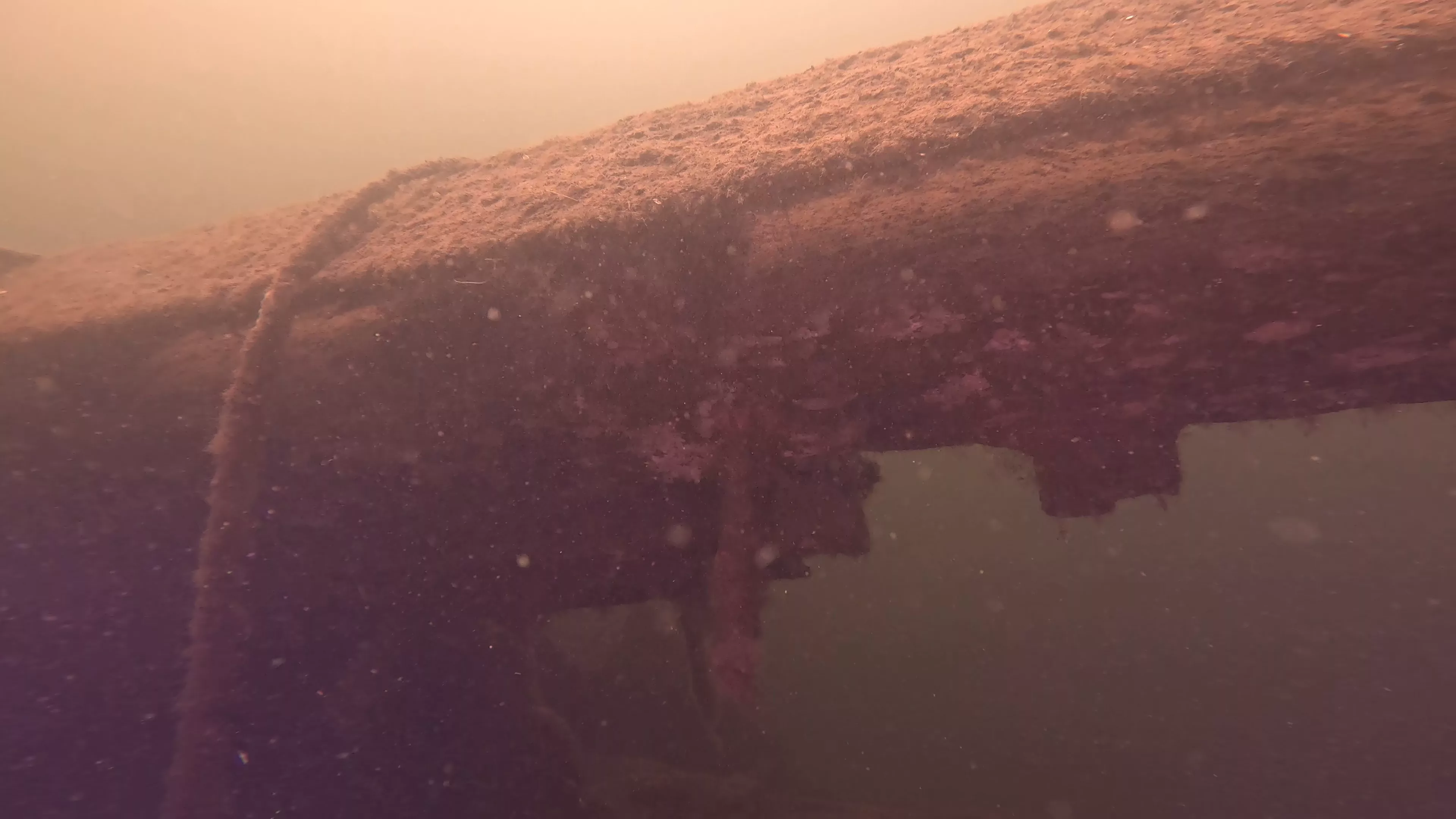 Mixed-Material Work Boat Wreck (LU082), Lake Union, Seattle, WA — photo 3 of 17