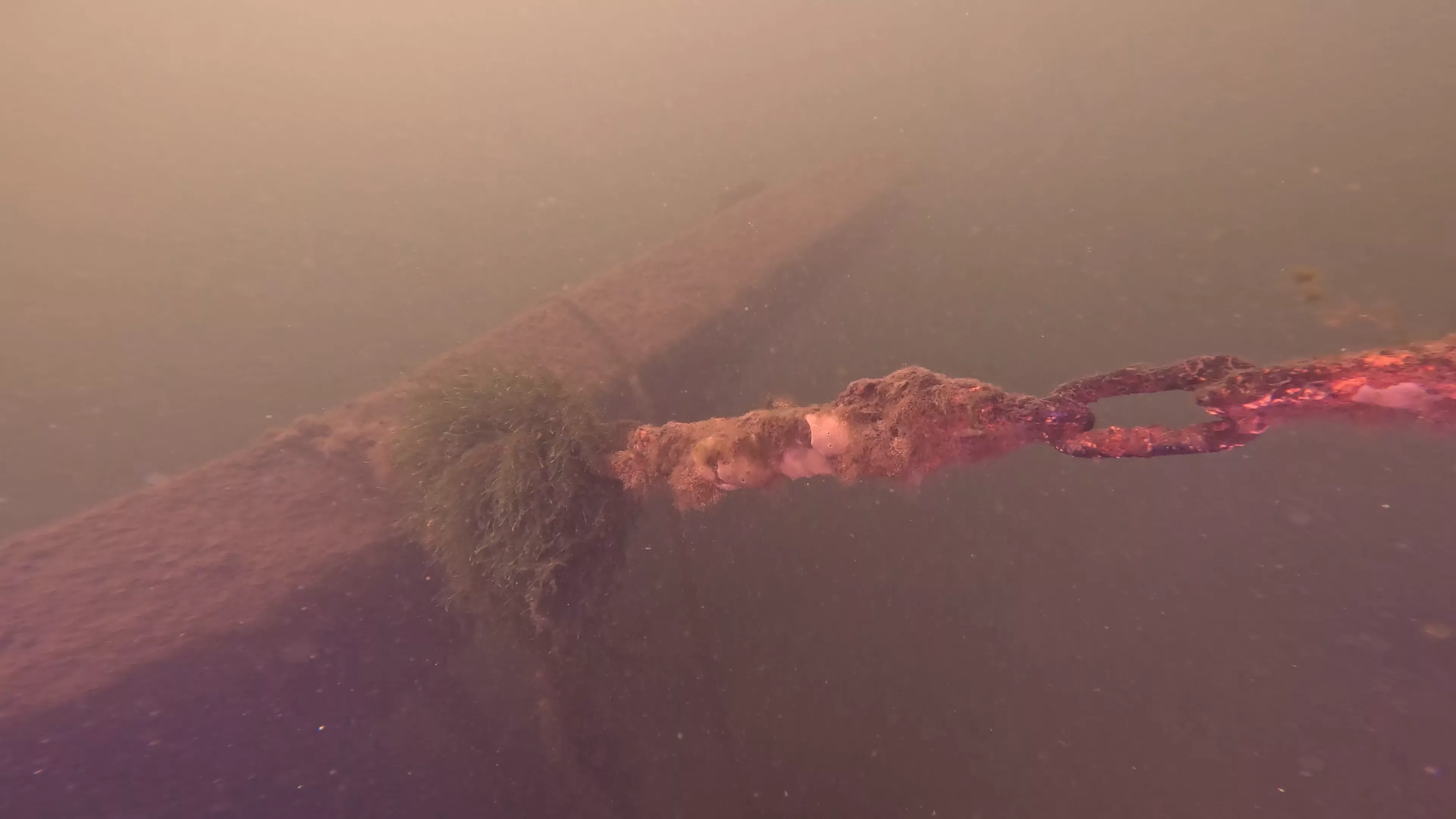 Mixed-Material Work Boat Wreck (LU082), Lake Union, Seattle, WA — photo 5 of 17