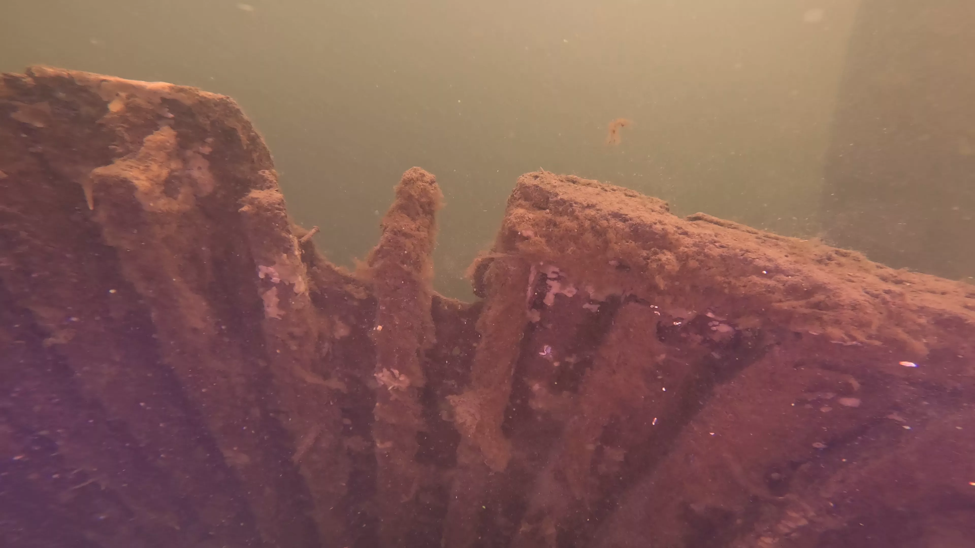 Mixed-Material Work Boat Wreck (LU082), Lake Union, Seattle, WA — photo 11 of 17