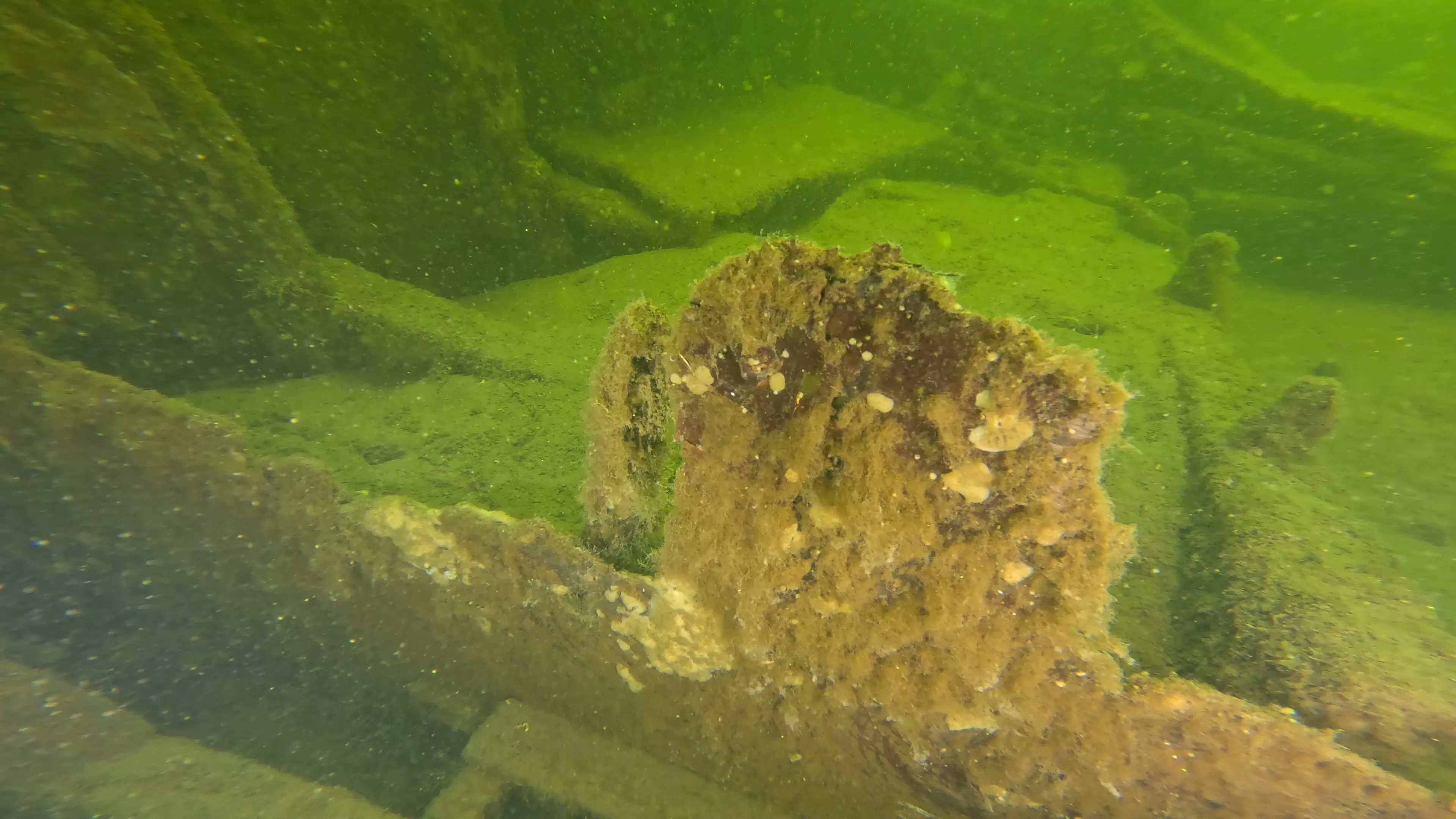 Mixed-Material Work Boat Wreck (LU082), Lake Union, Seattle, WA — photo 14 of 17