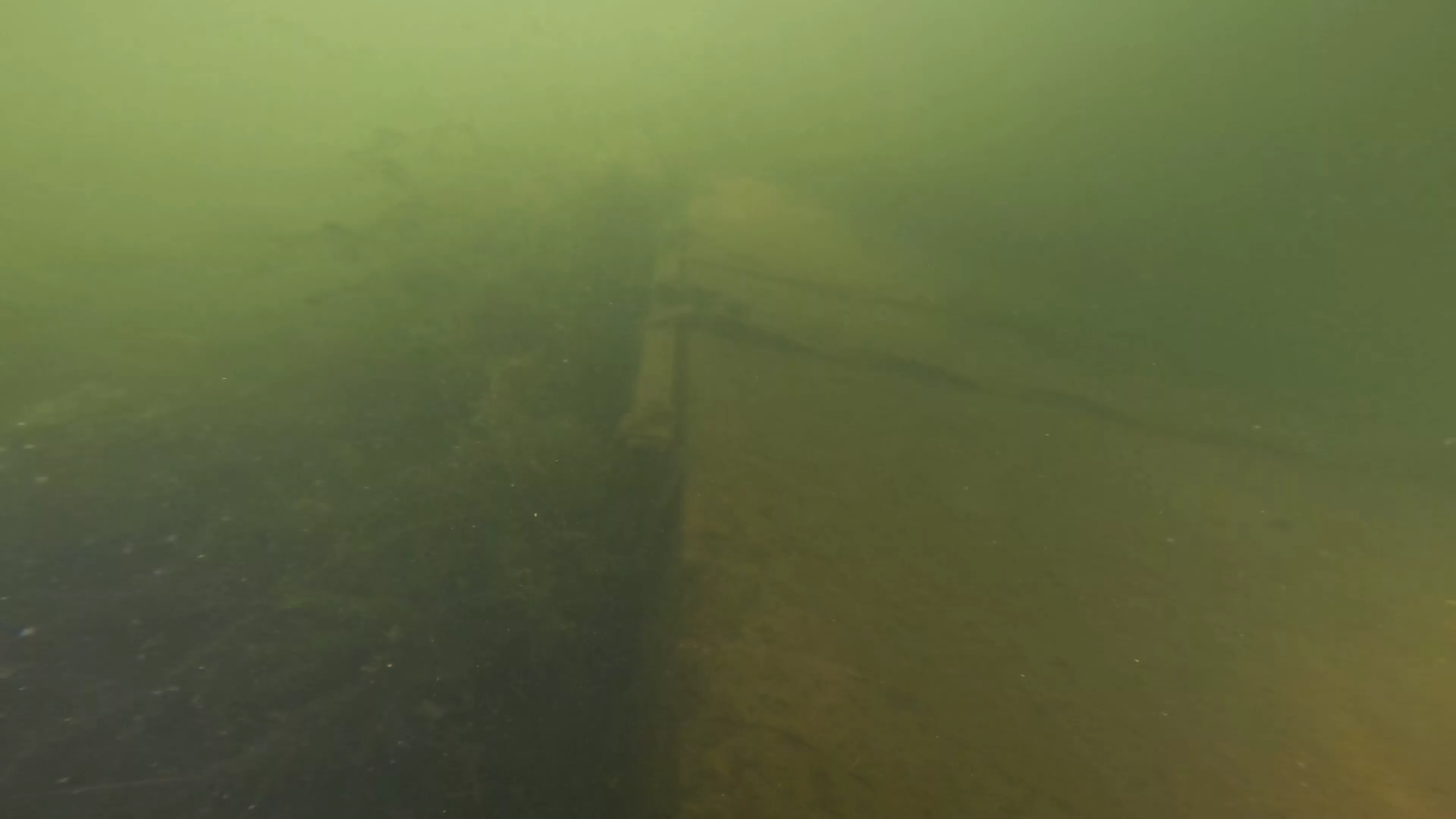 Small Wood Barge Wreck (LU083), Lake Union, Seattle, WA — photo 3 of 18