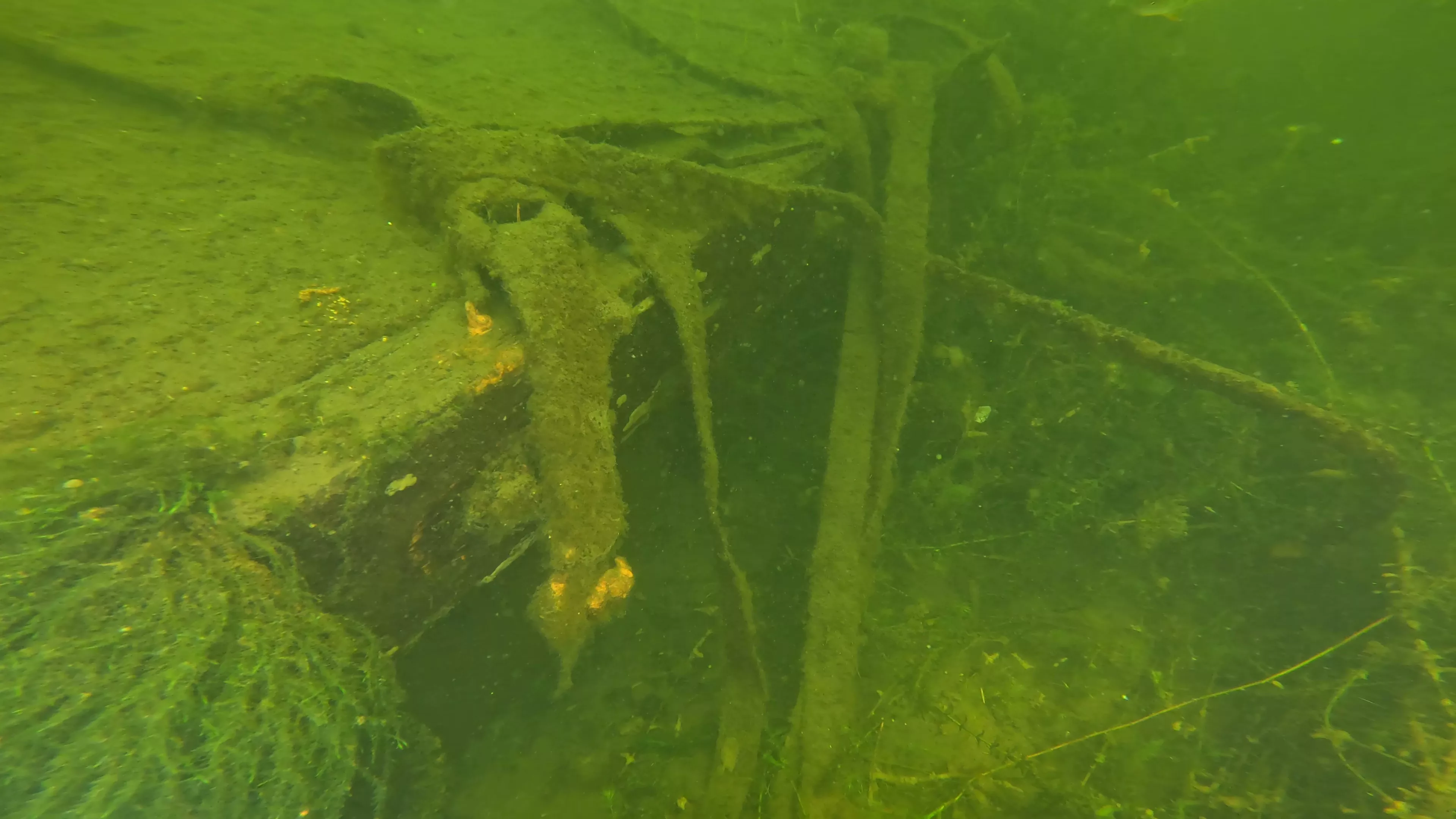 Small Wood Barge Wreck (LU083), Lake Union, Seattle, WA — photo 8 of 18