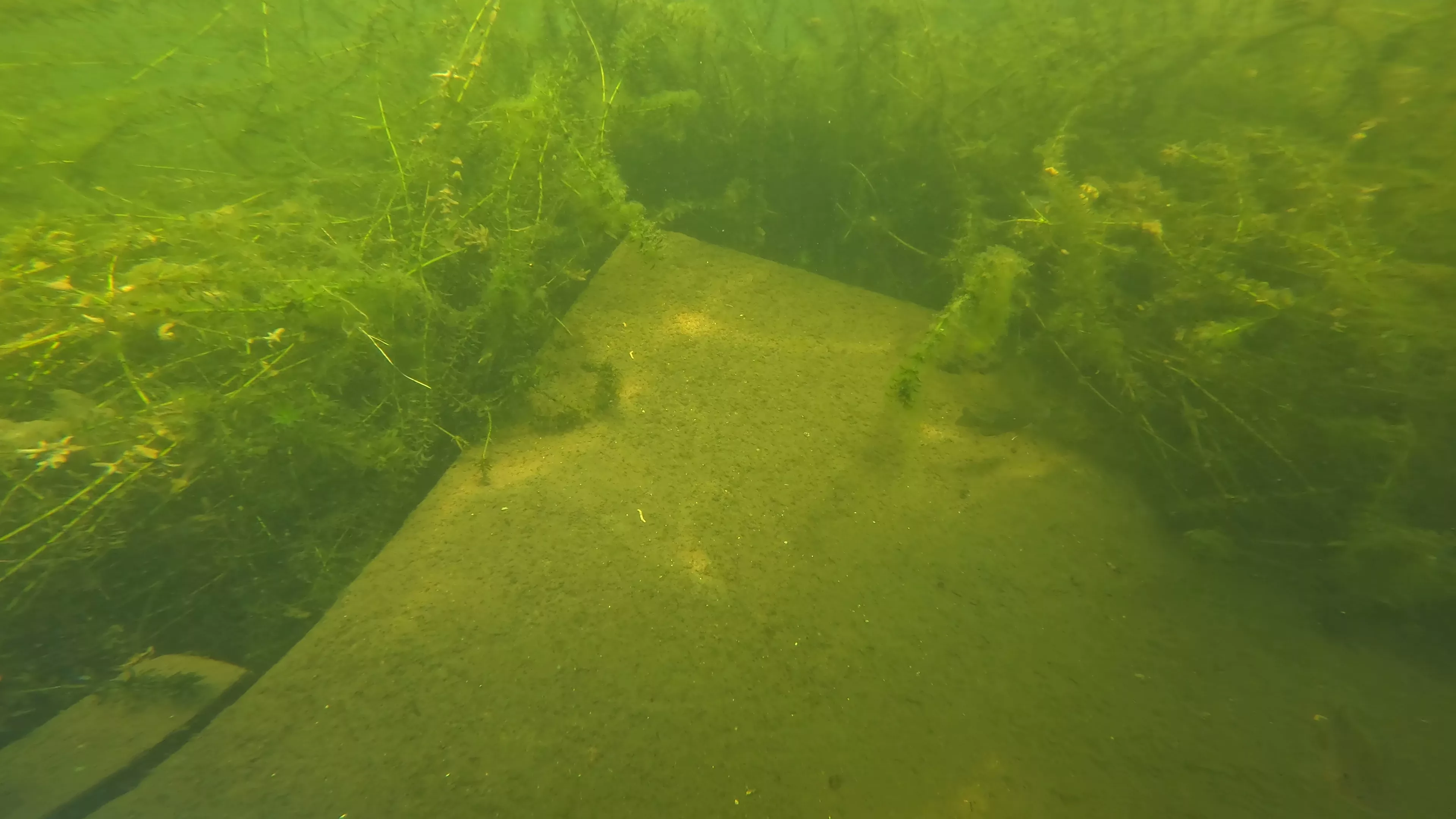 Small Wood Barge Wreck (LU083), Lake Union, Seattle, WA — photo 10 of 18