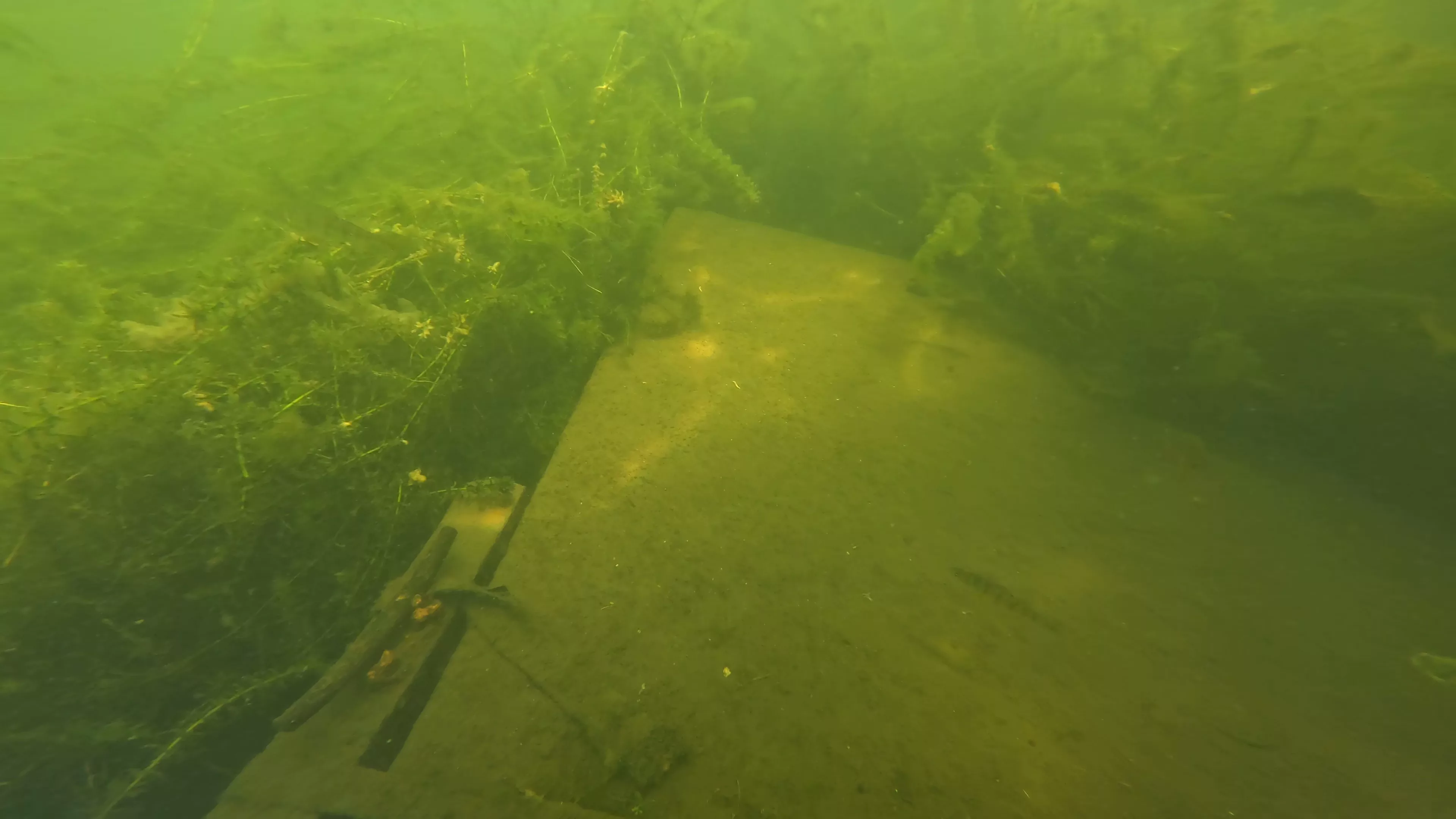 Small Wood Barge Wreck (LU083), Lake Union, Seattle, WA — photo 11 of 18
