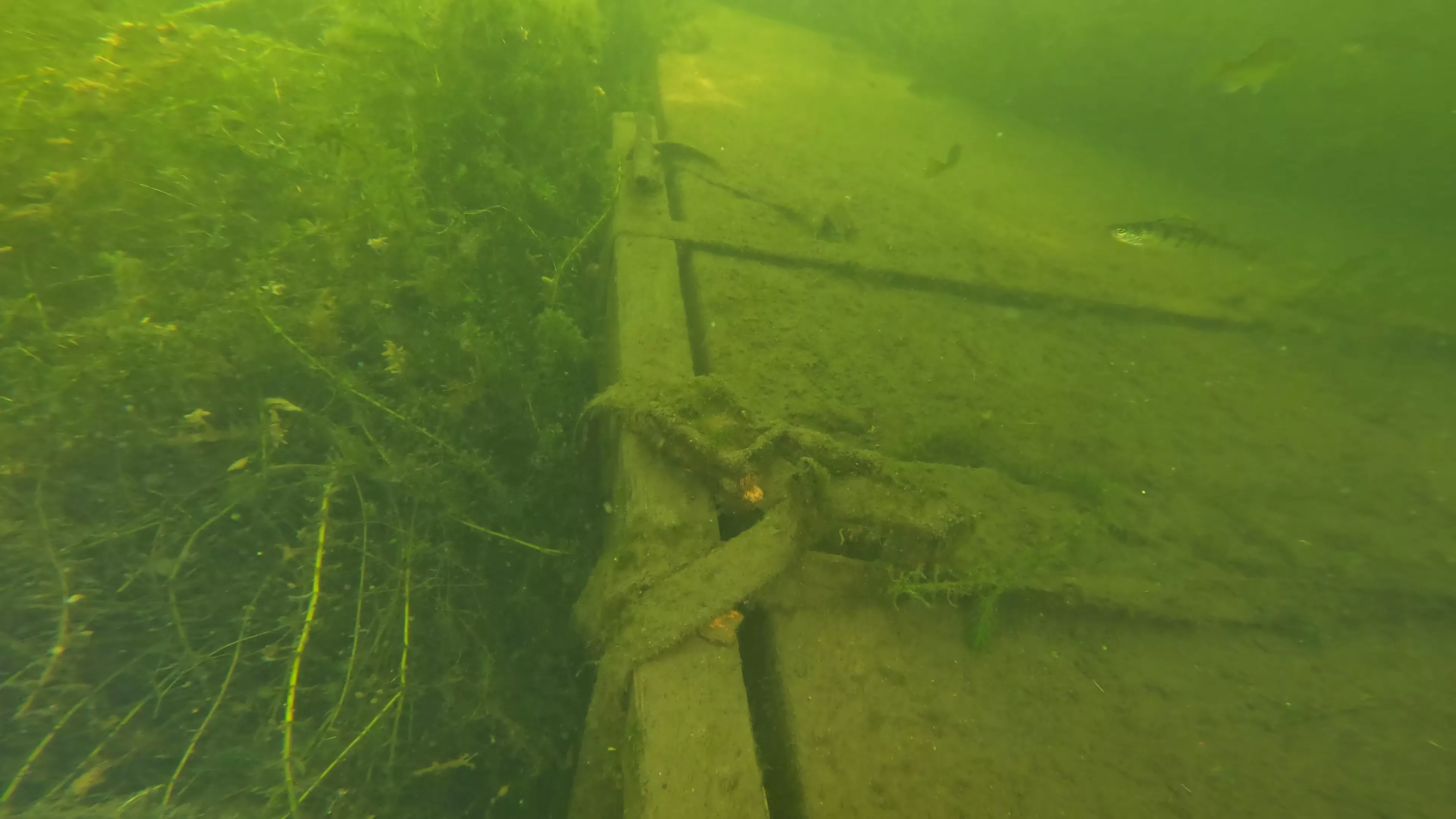 Small Wood Barge Wreck (LU083), Lake Union, Seattle, WA — main photo