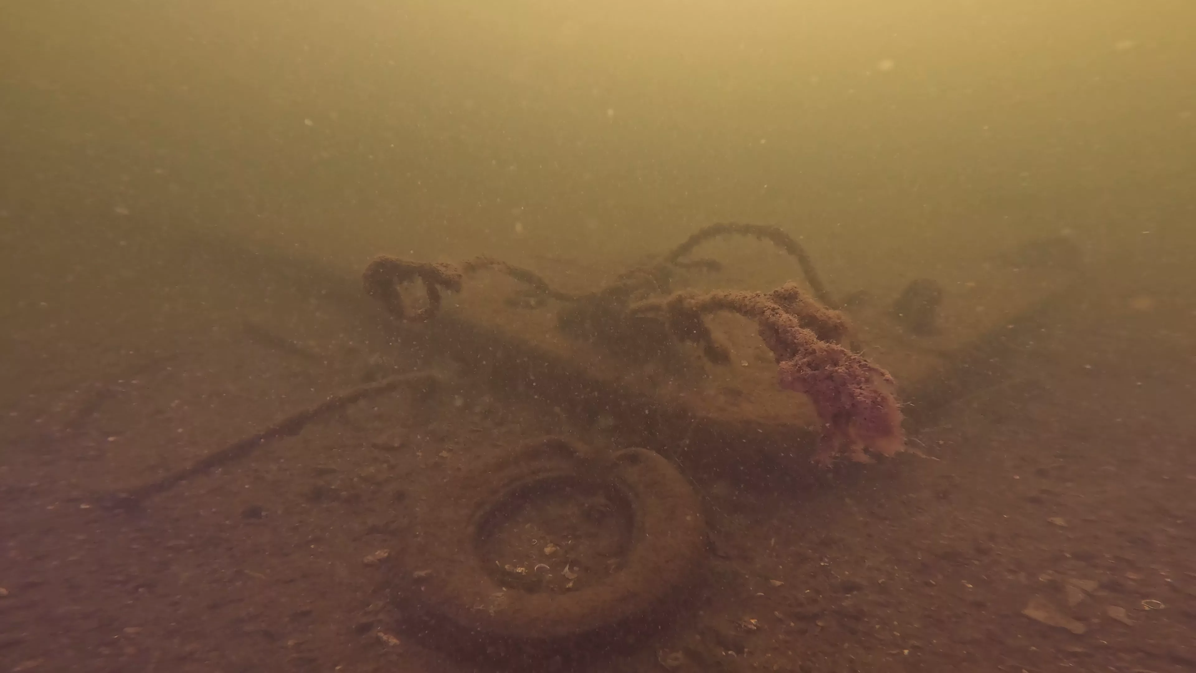 24' Metal Barge Wreck (LU084), Lake Union, Seattle, WA — main photo