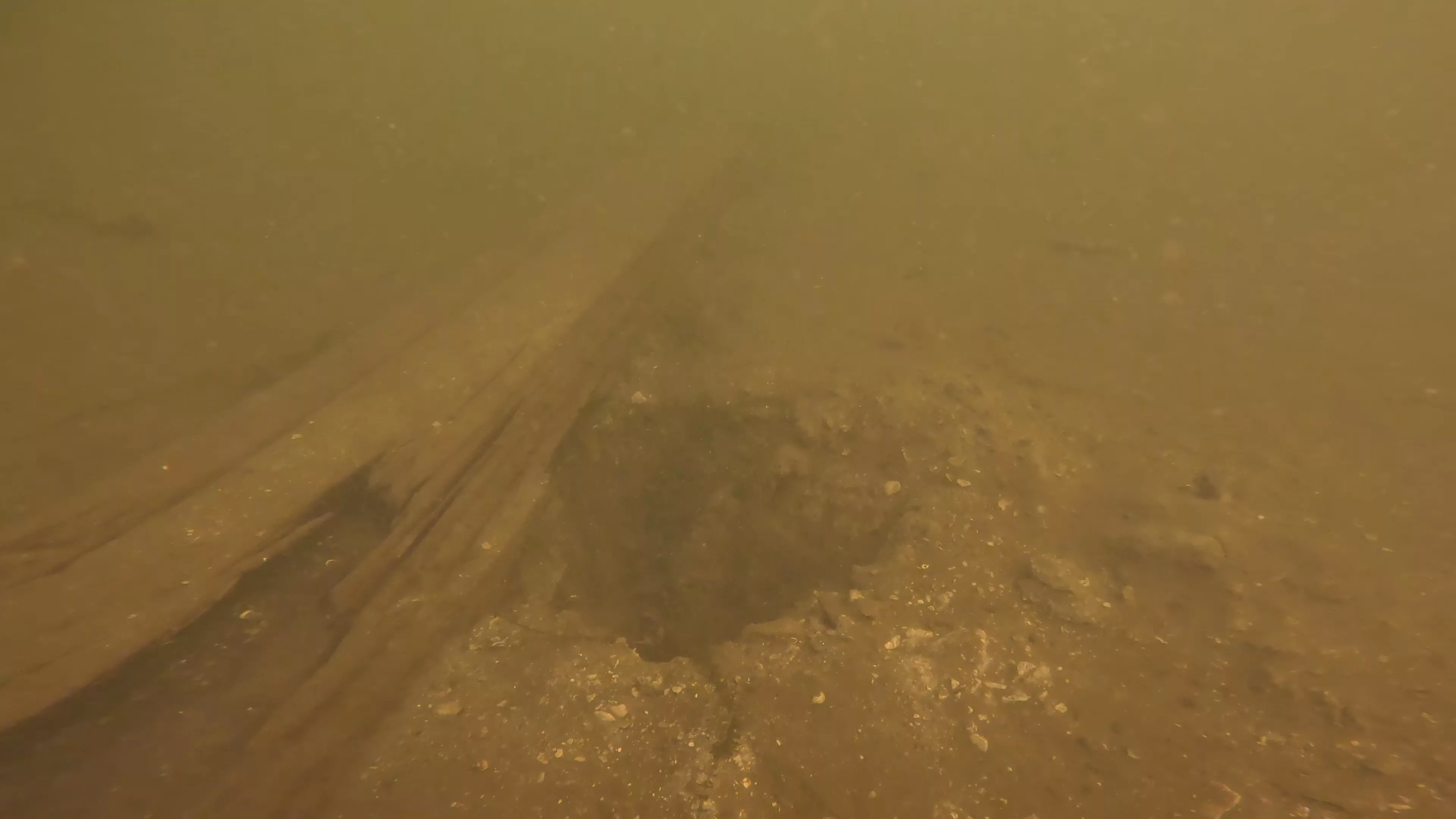 24' Metal Barge Wreck (LU084), Lake Union, Seattle, WA — photo 1 of 8