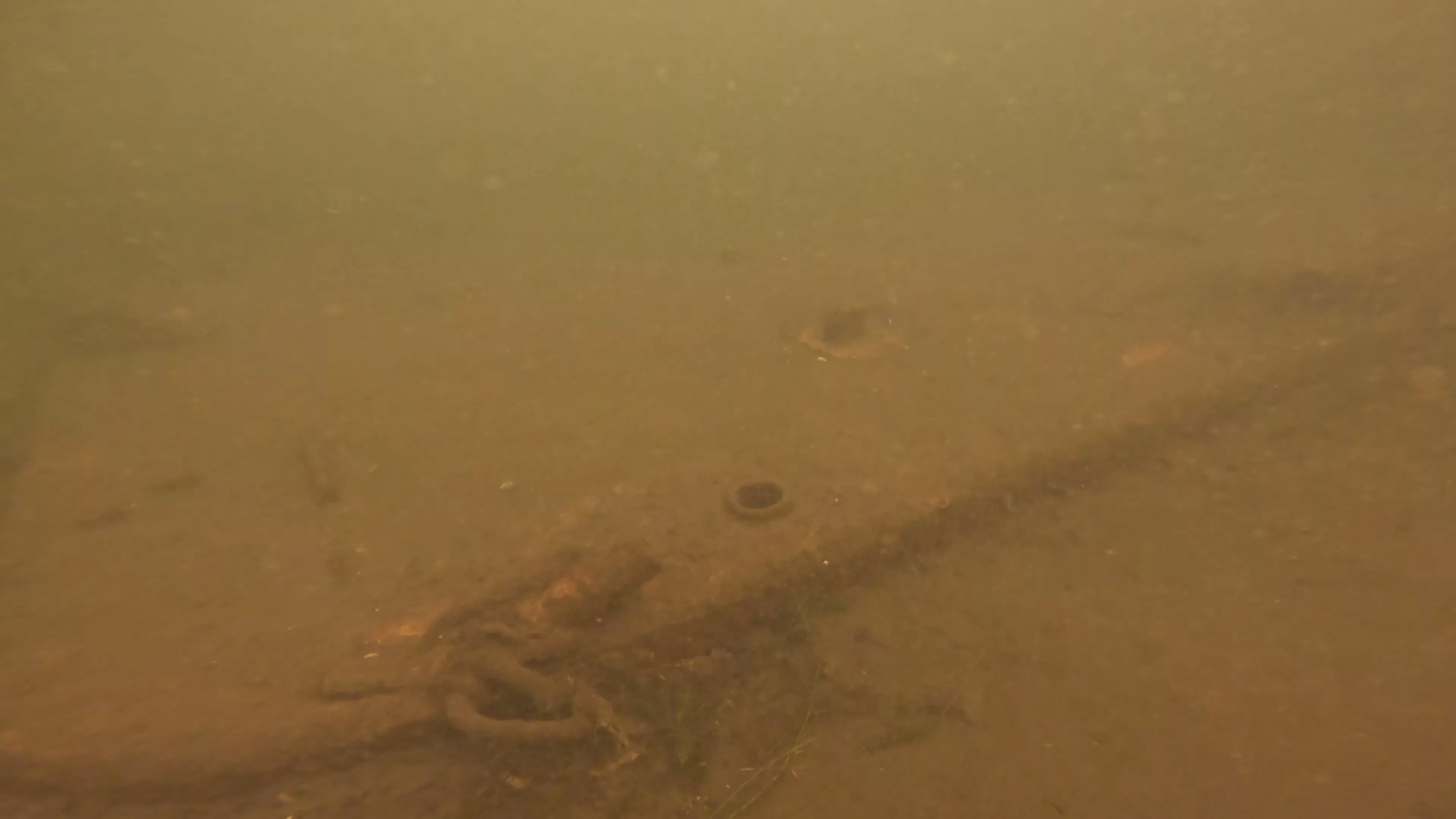 24' Metal Barge Wreck (LU084), Lake Union, Seattle, WA — photo 3 of 8