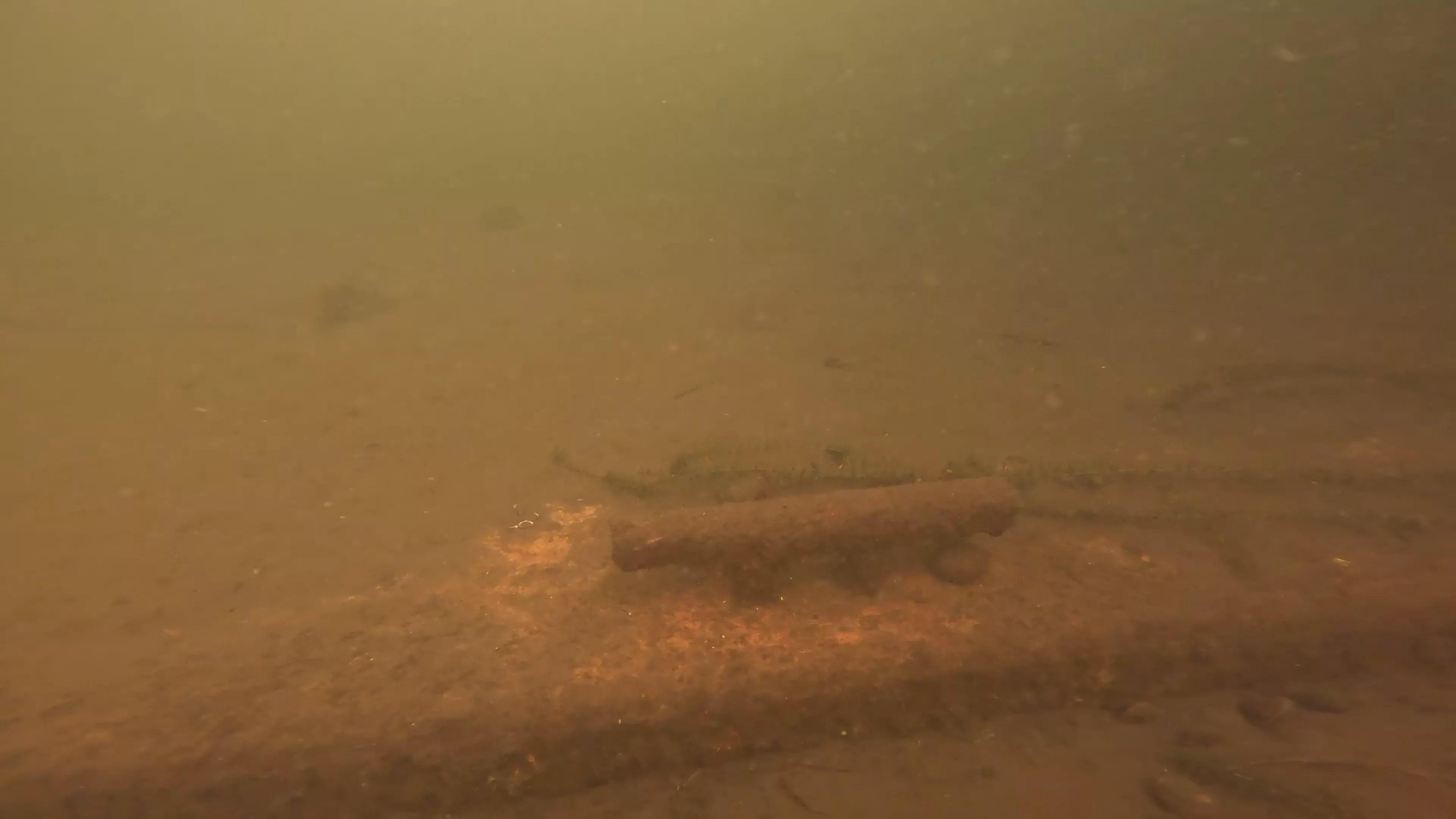 24' Metal Barge Wreck (LU084), Lake Union, Seattle, WA — photo 4 of 8