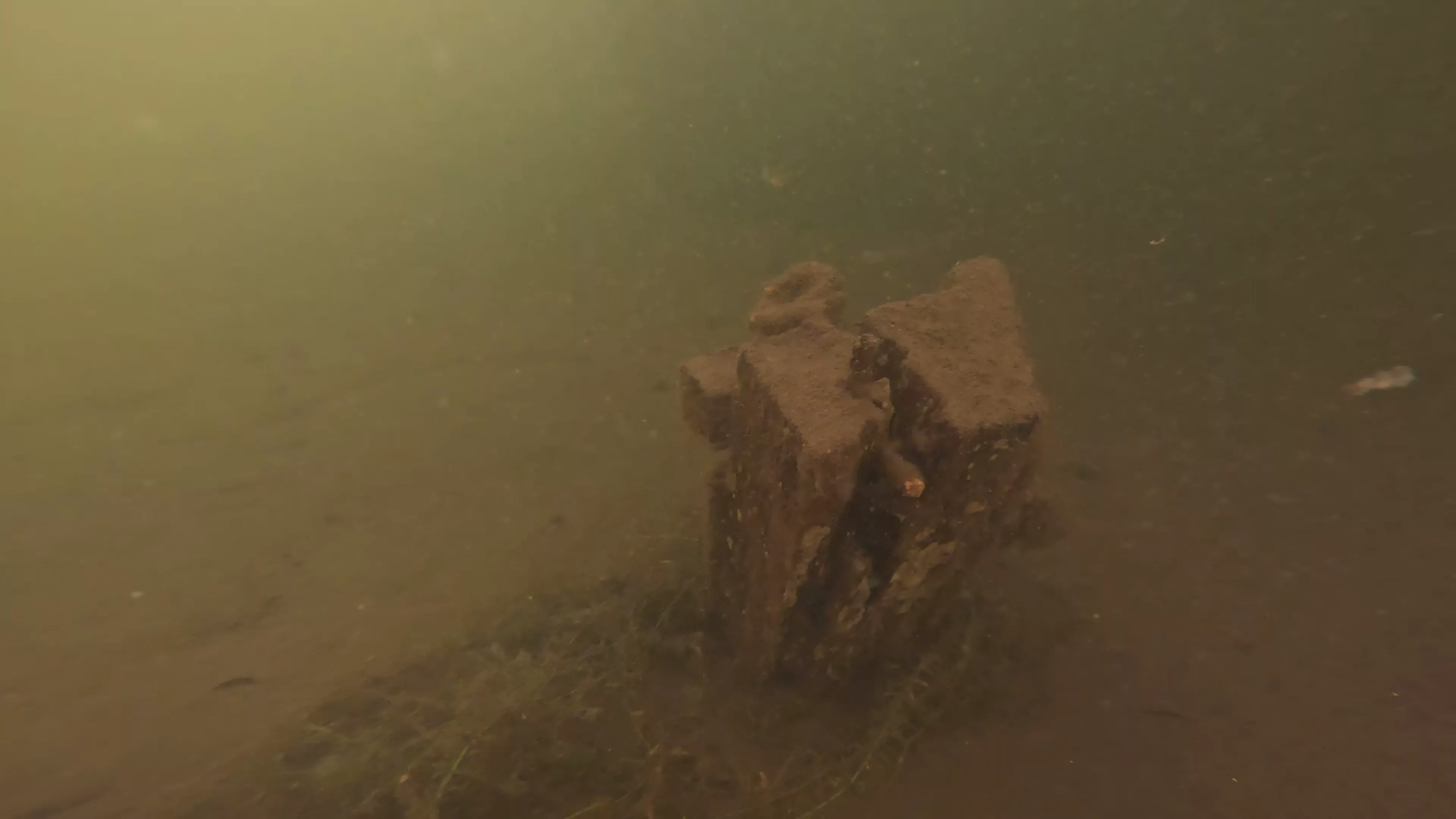 24' Metal Barge Wreck (LU084), Lake Union, Seattle, WA — photo 5 of 8