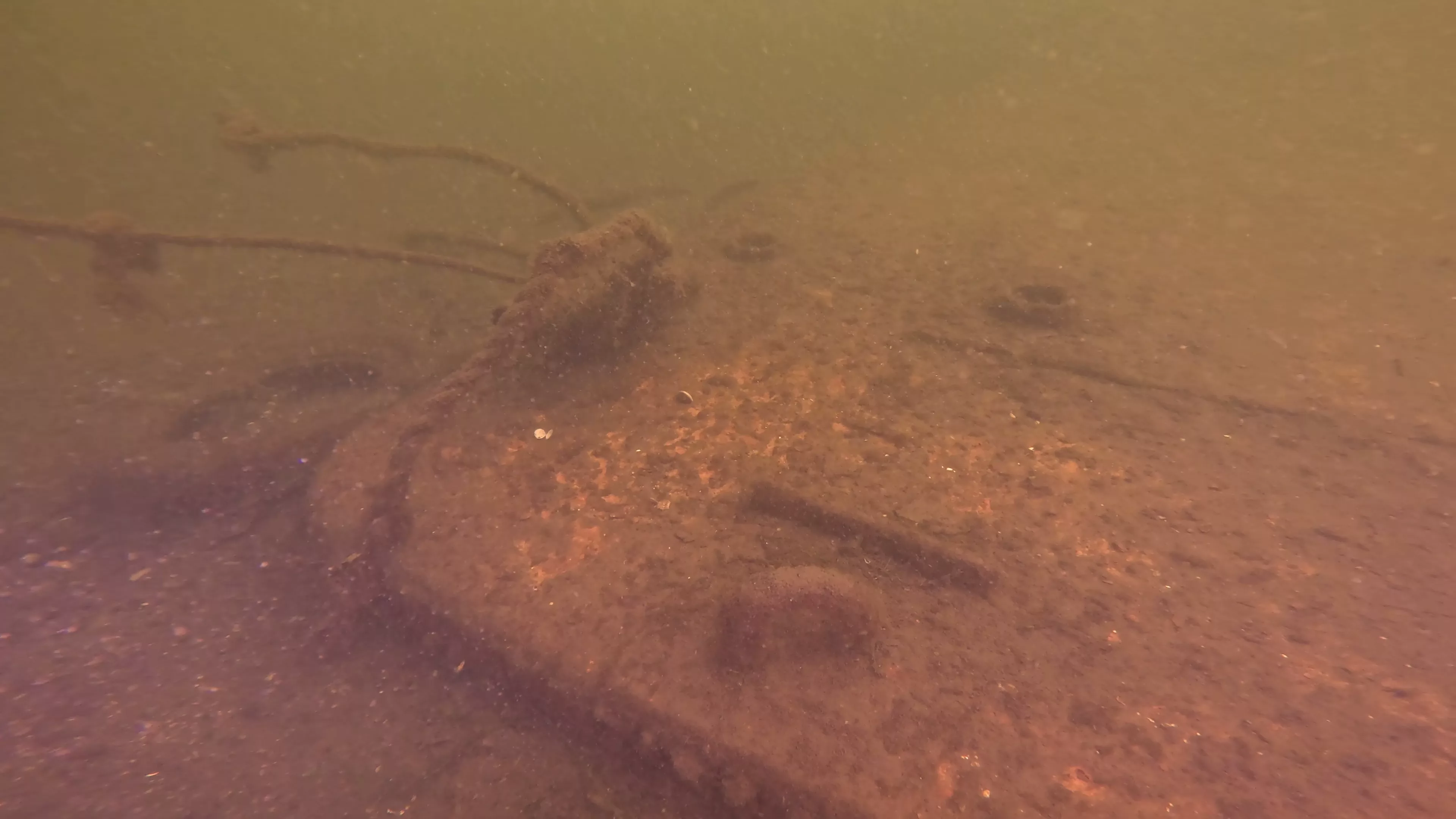 24' Metal Barge Wreck (LU084), Lake Union, Seattle, WA — photo 7 of 8