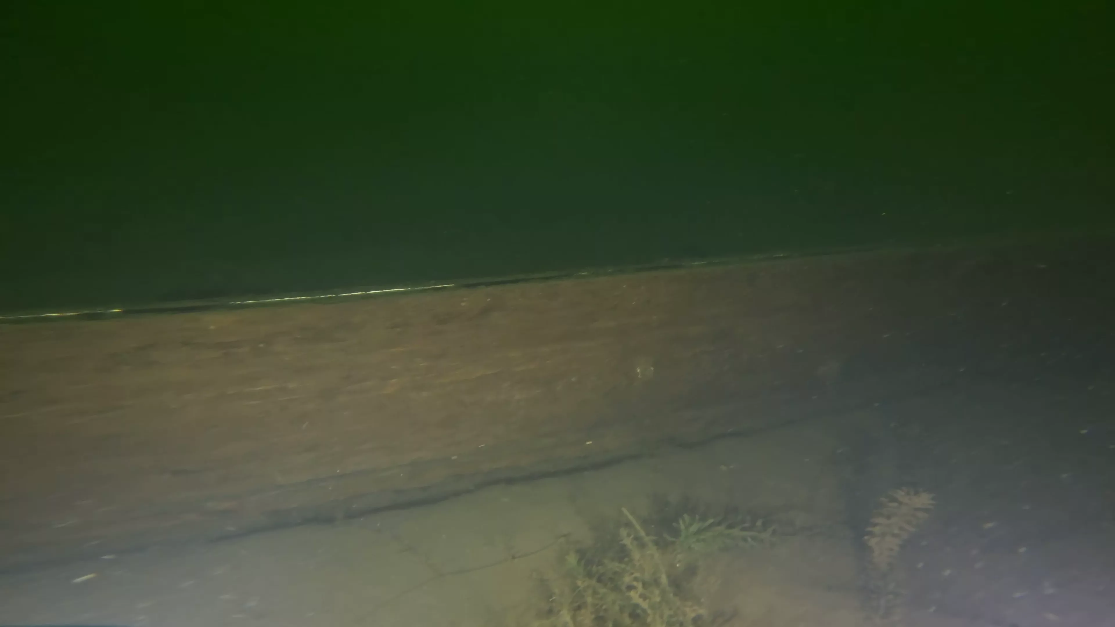 14' Small Wooden Boat Wreck (LU086), Lake Union, Seattle, WA — photo 4 of 7