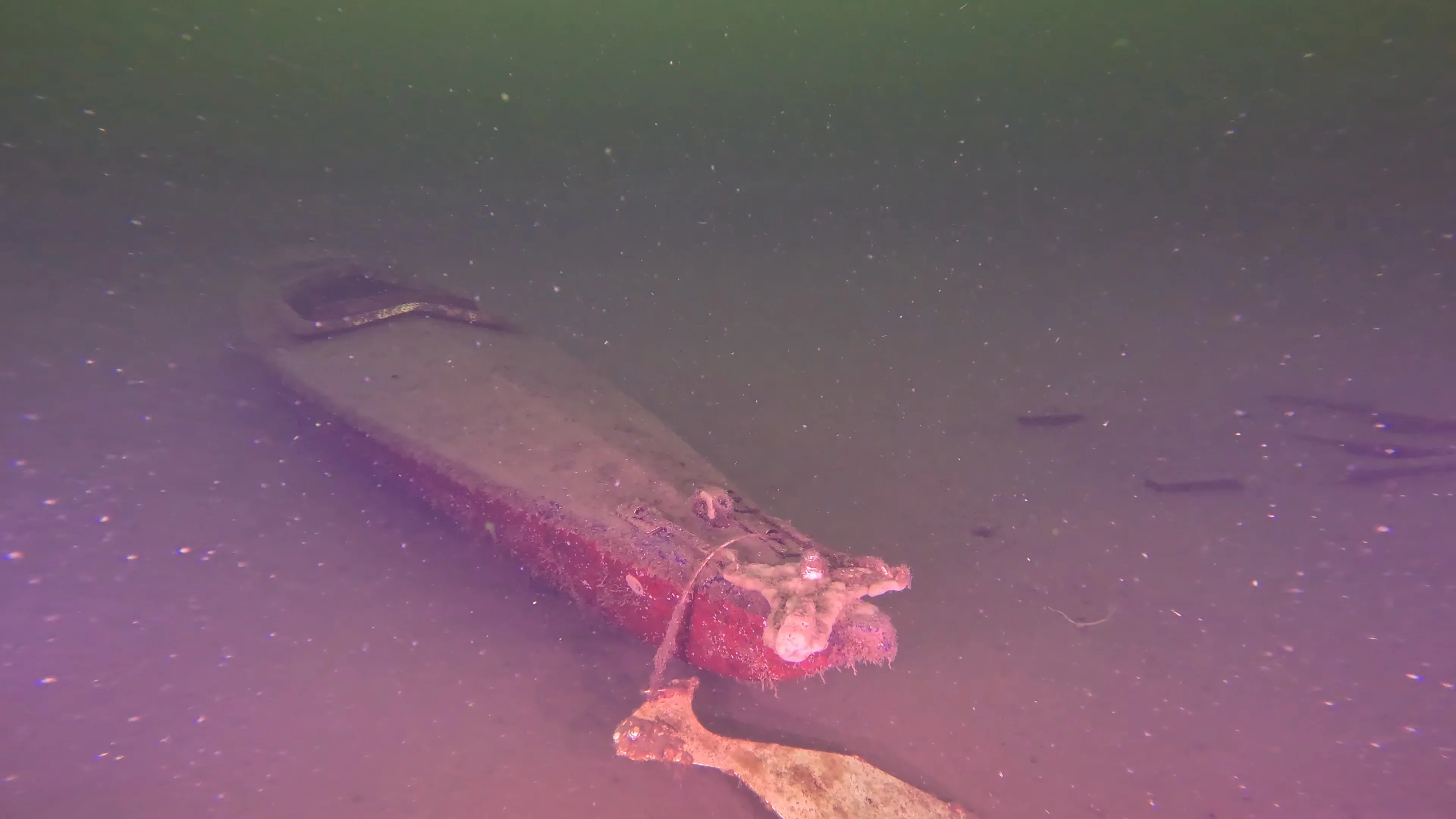Sunken Resonance Kayak (LU087), Lake Union, Seattle, WA — photo 2 of 12