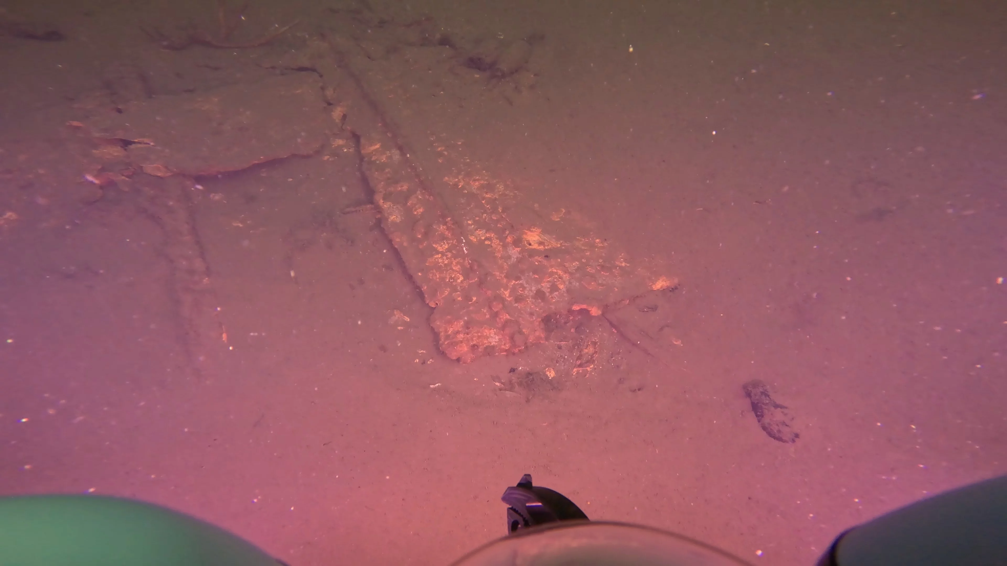 Tires & Timber Debris Field (LU089), Lake Union, Seattle, WA — photo 3 of 22