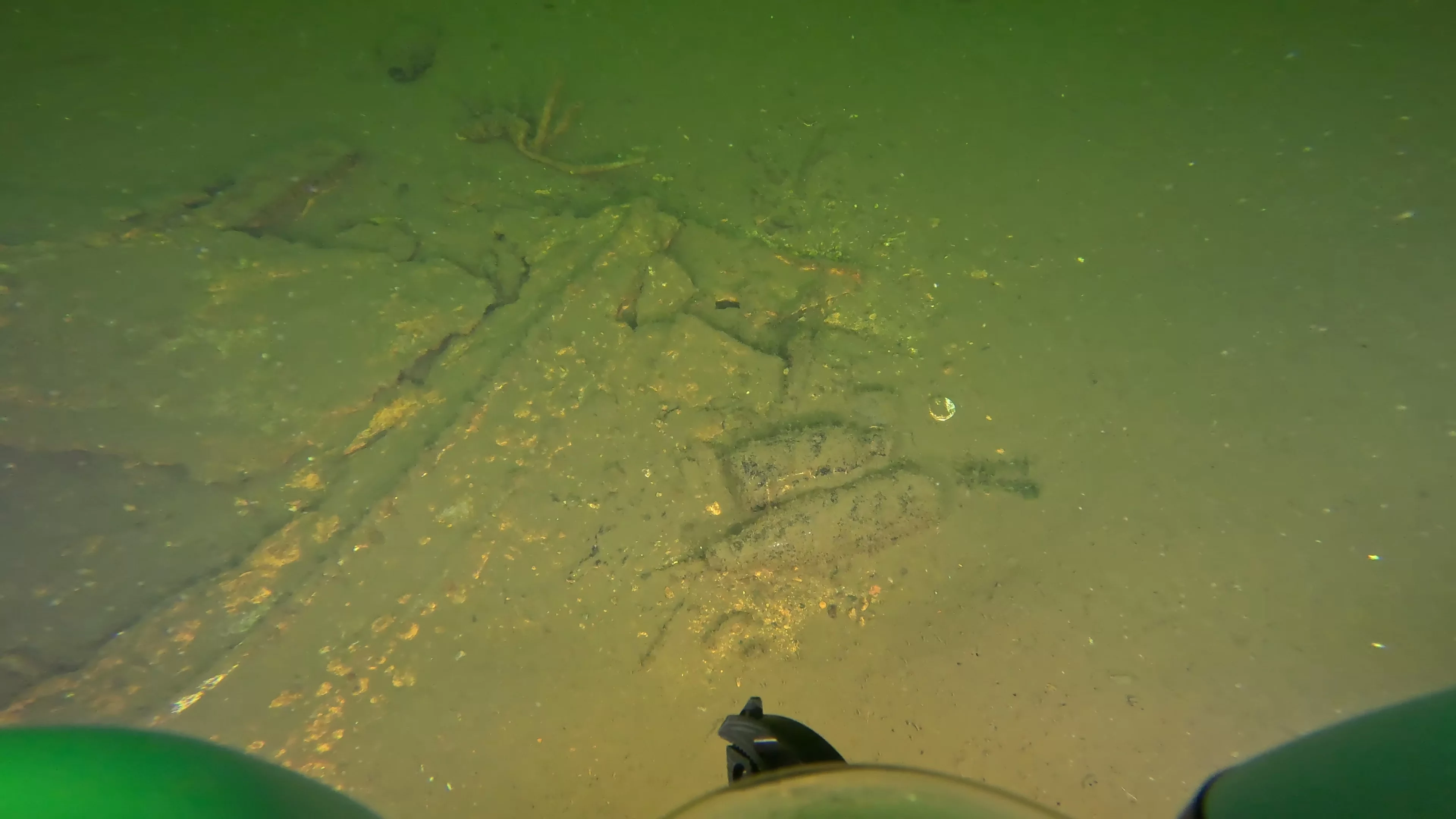 Tires & Timber Debris Field (LU089), Lake Union, Seattle, WA — photo 4 of 22
