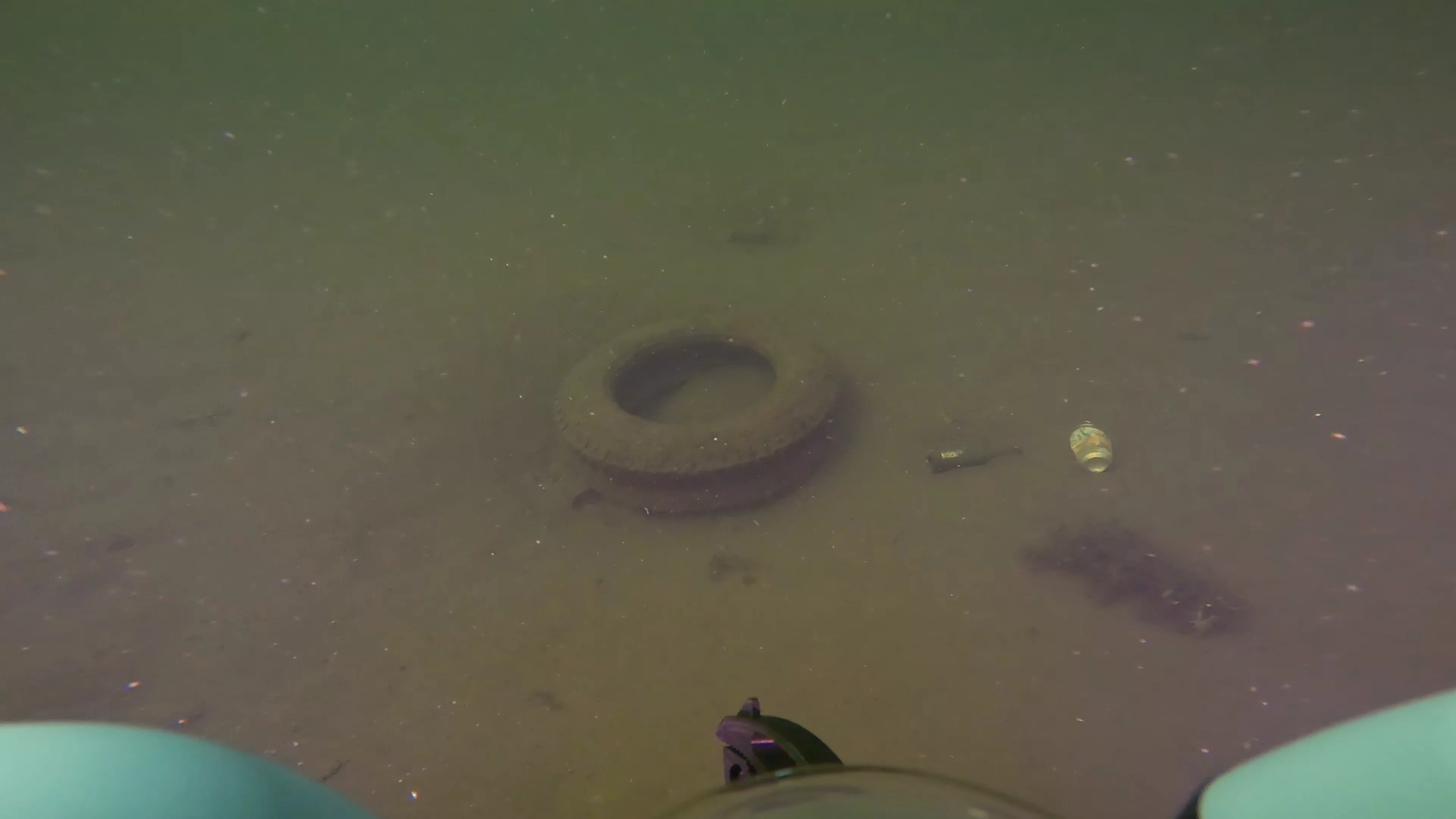 Tires & Timber Debris Field (LU089), Lake Union, Seattle, WA — photo 10 of 22