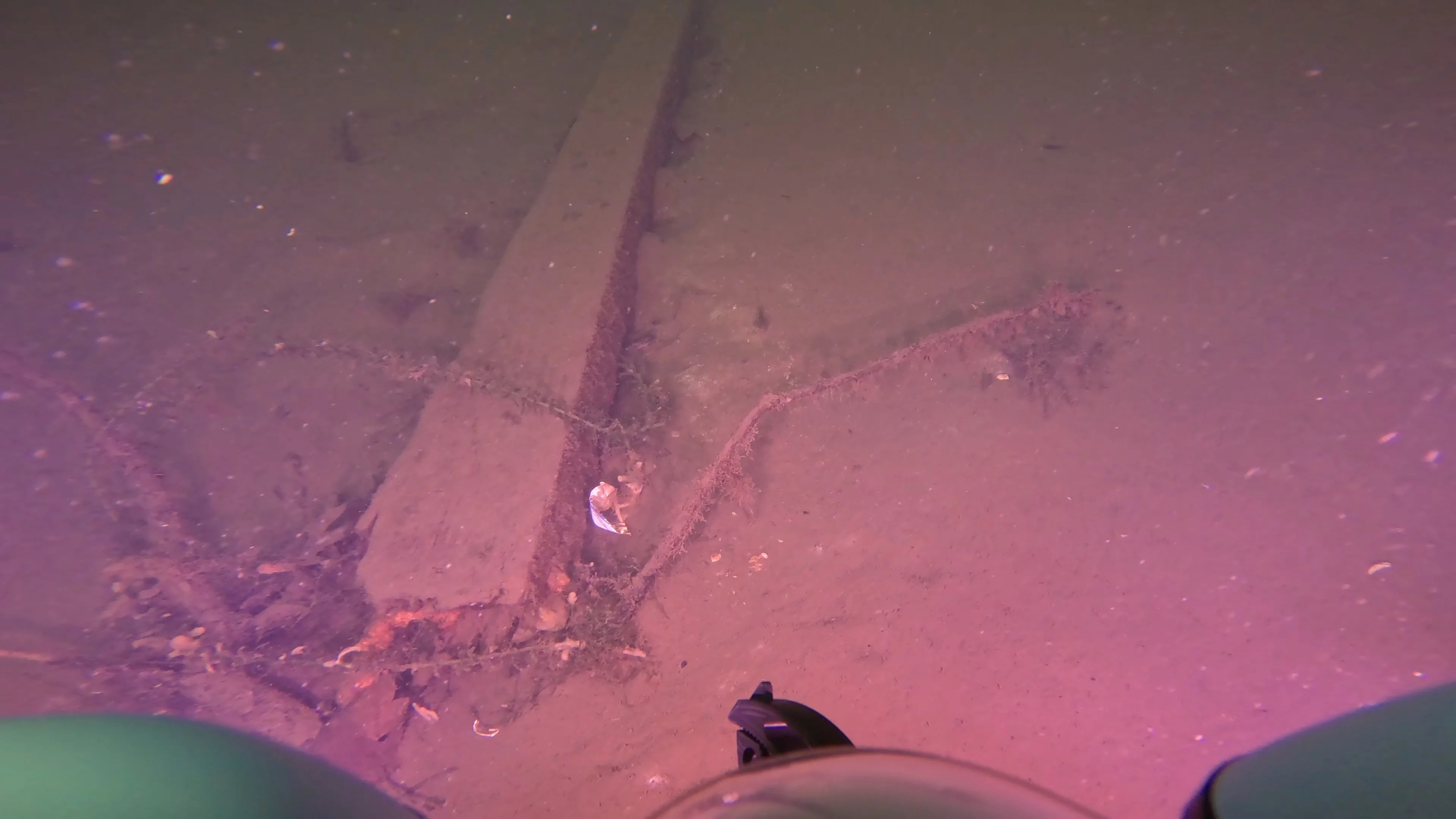 Tires & Timber Debris Field (LU089), Lake Union, Seattle, WA — photo 16 of 22