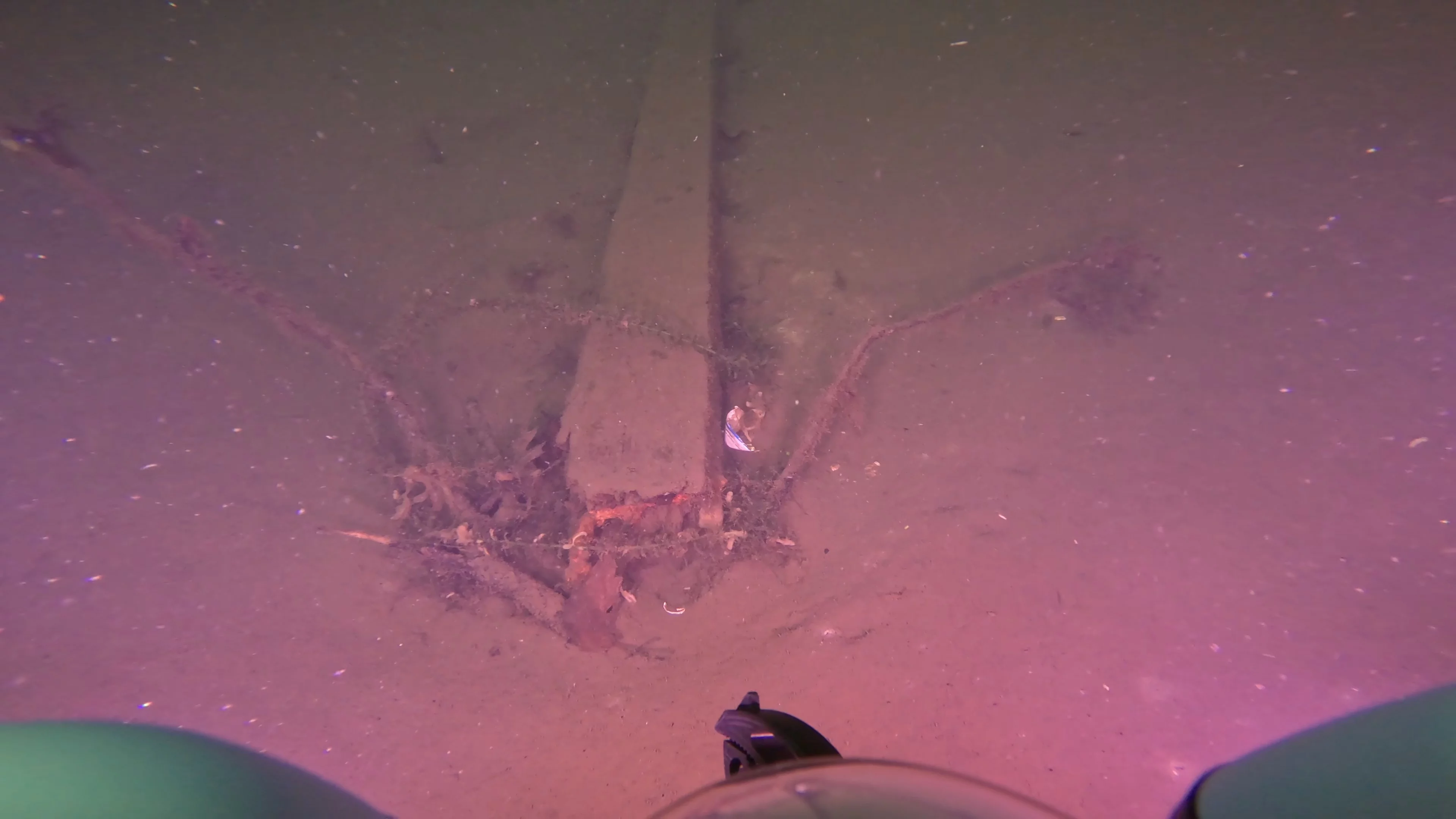 Tires & Timber Debris Field (LU089), Lake Union, Seattle, WA — photo 17 of 22