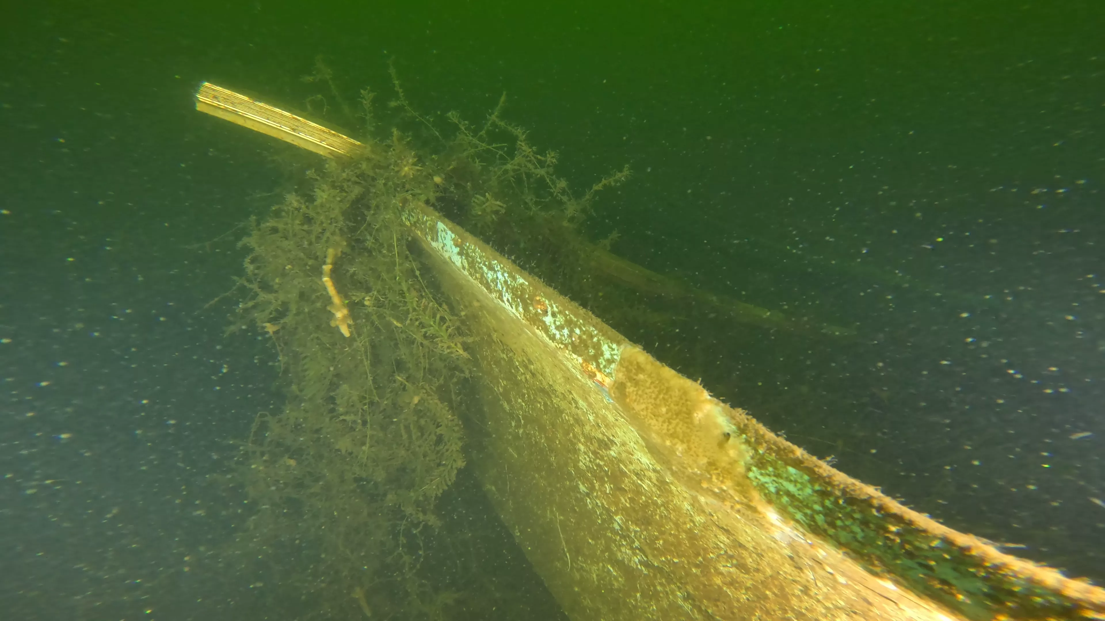 14' Fiberglass Boat Wreck (LU096), Lake Union, Seattle, WA — photo 13 of 16