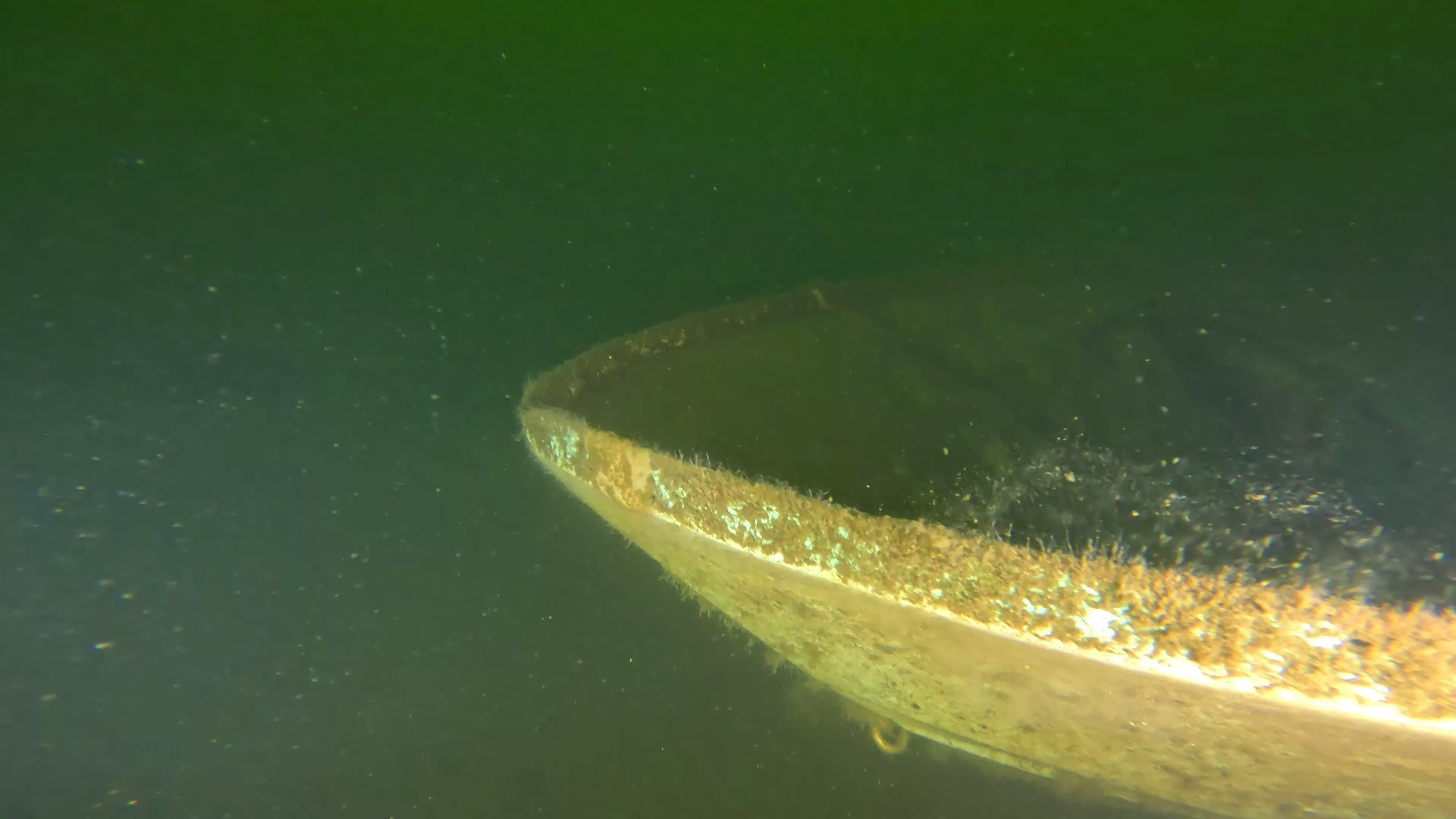 14' Fiberglass Boat Wreck (LU096), Lake Union, Seattle, WA — photo 15 of 16