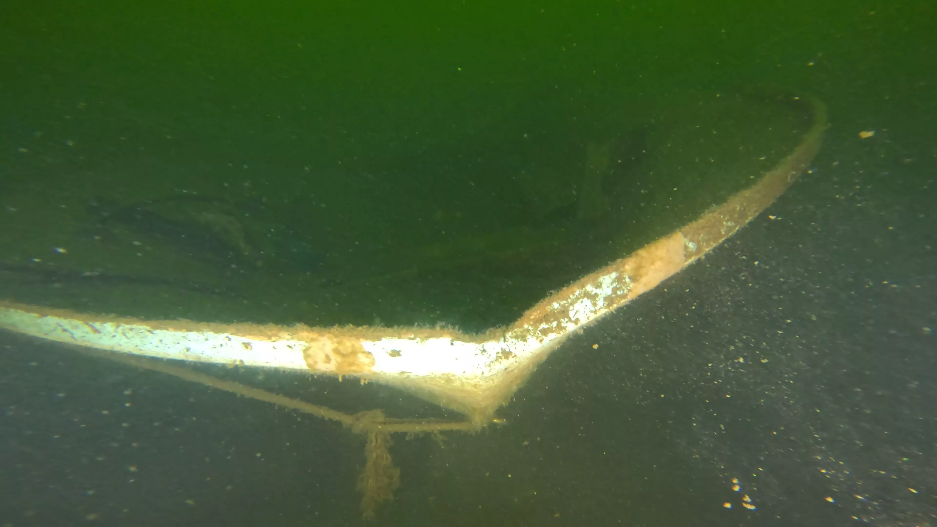 14' Fiberglass Boat Wreck (LU096), Lake Union, Seattle, WA — photo 16 of 16