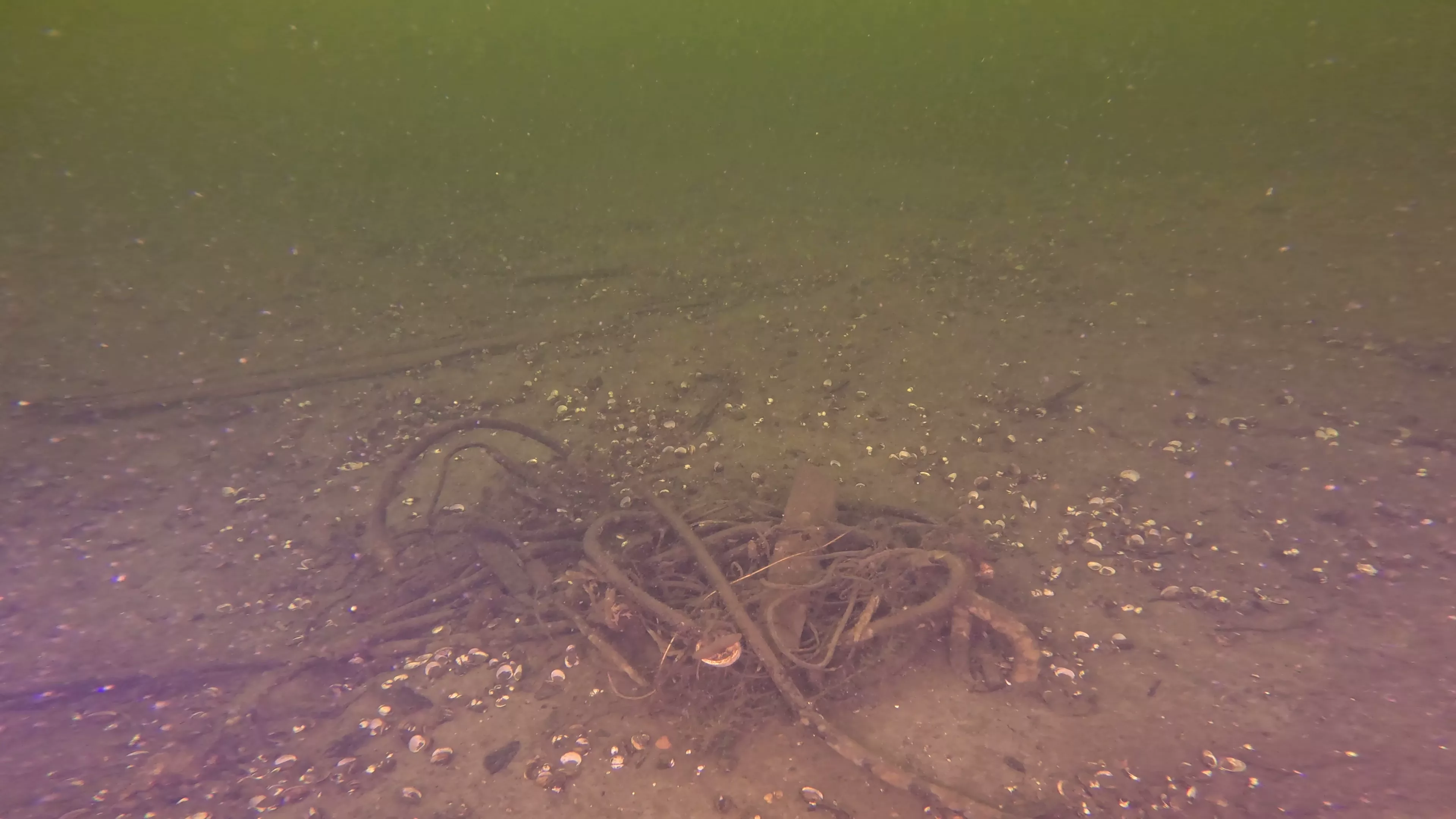 Lakebed Cables (LU097), Lake Union, Seattle, WA — photo 4 of 7