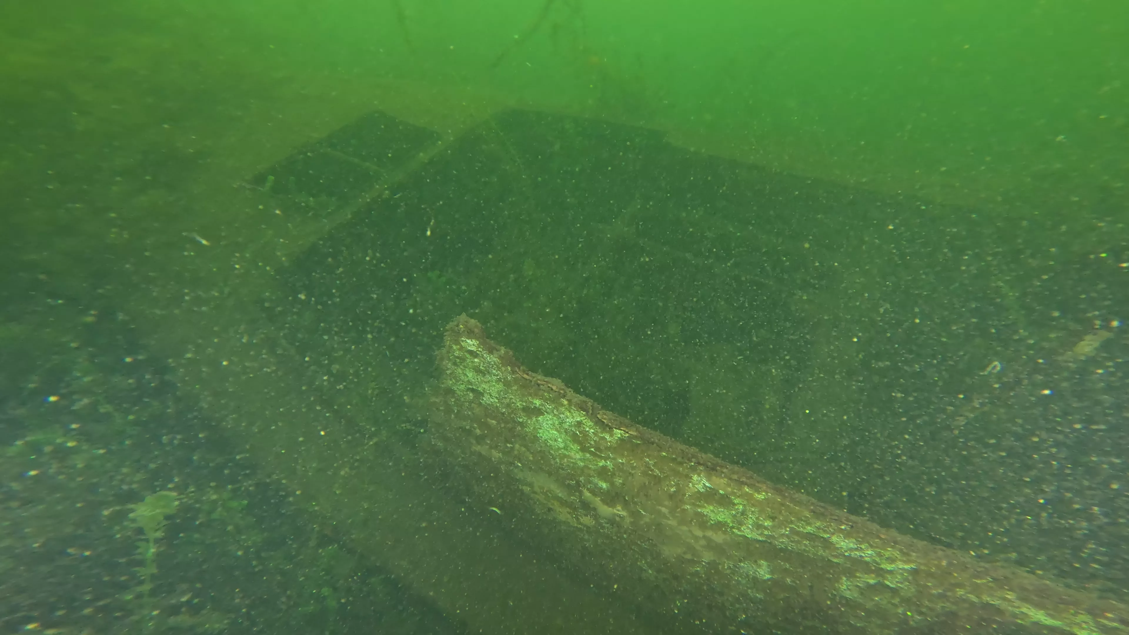 24' Sunken Pleasure Craft (LU098), Lake Union, Seattle, WA — photo 4 of 11