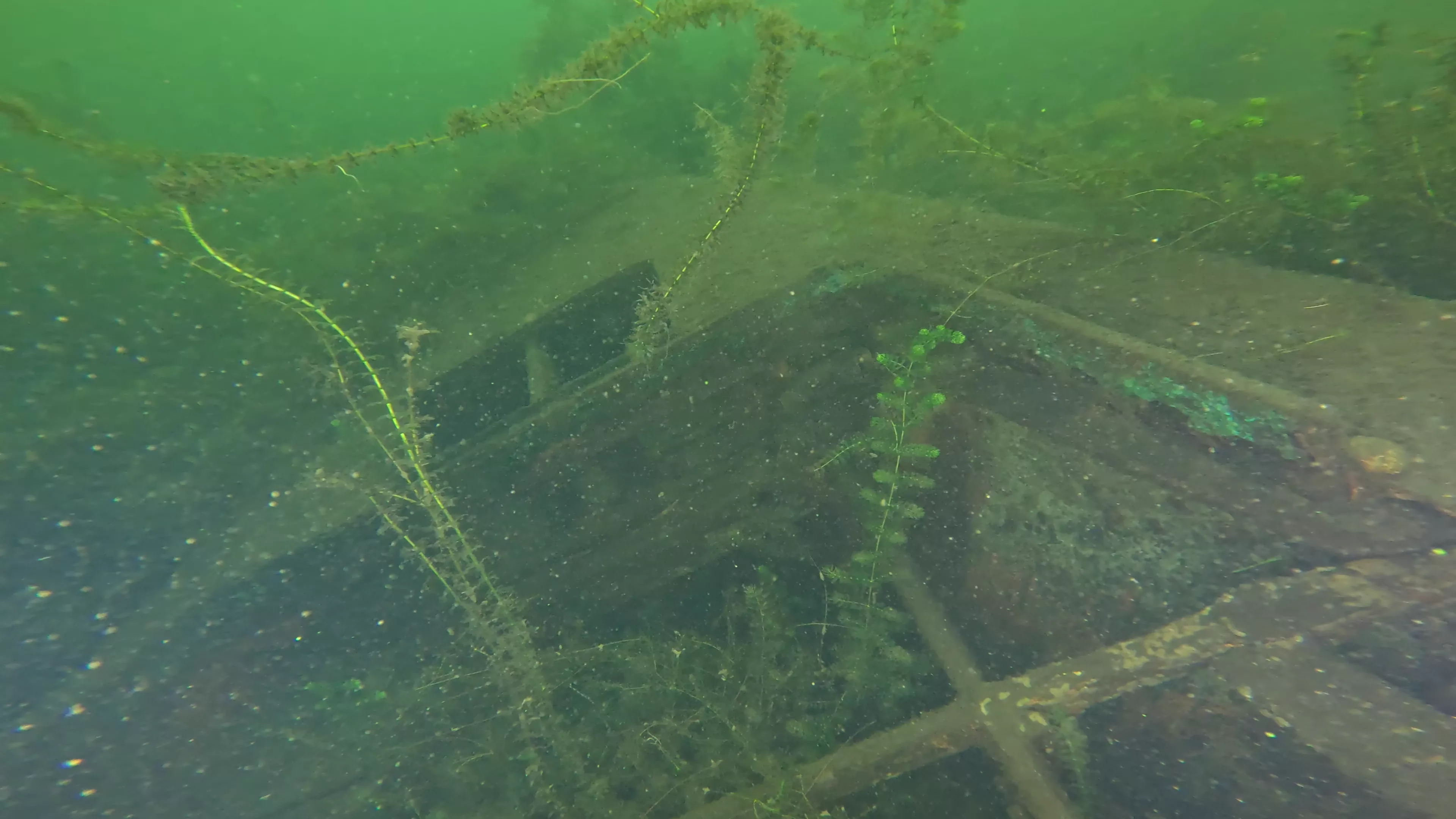 24' Sunken Pleasure Craft (LU098), Lake Union, Seattle, WA — photo 10 of 11