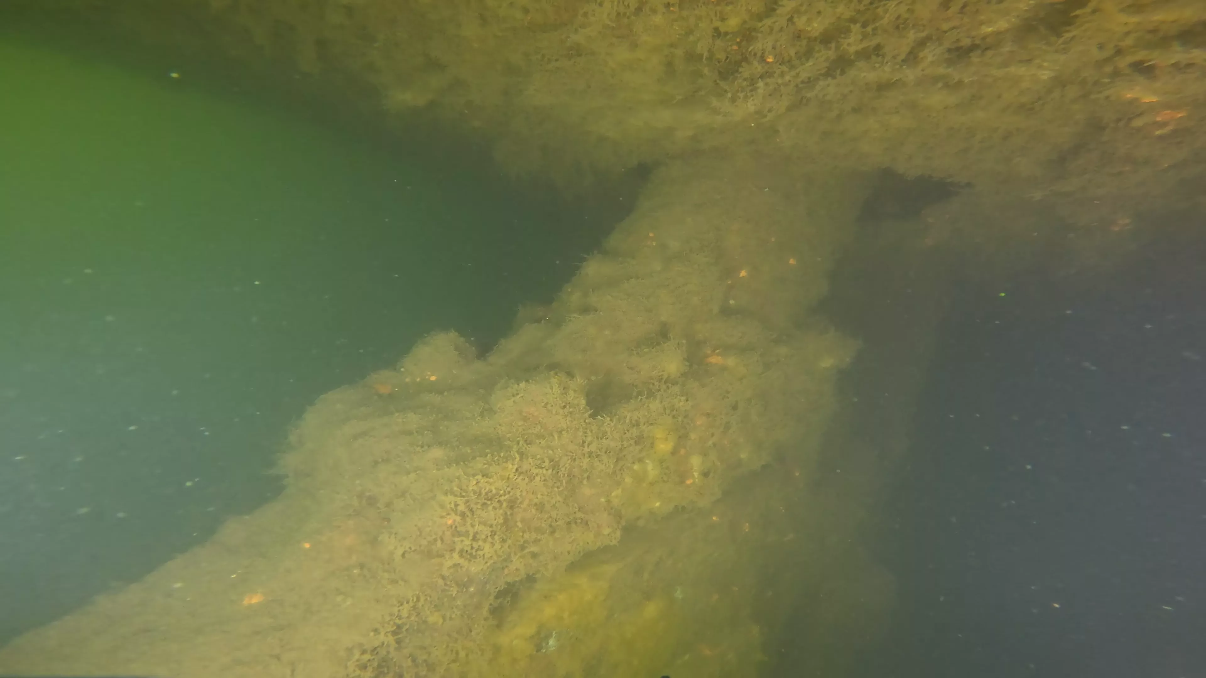 Onondaga: 165' USCG Cutter Wreck (LU099), Ballard Ship Canal, Seattle, WA — photo 1 of 22