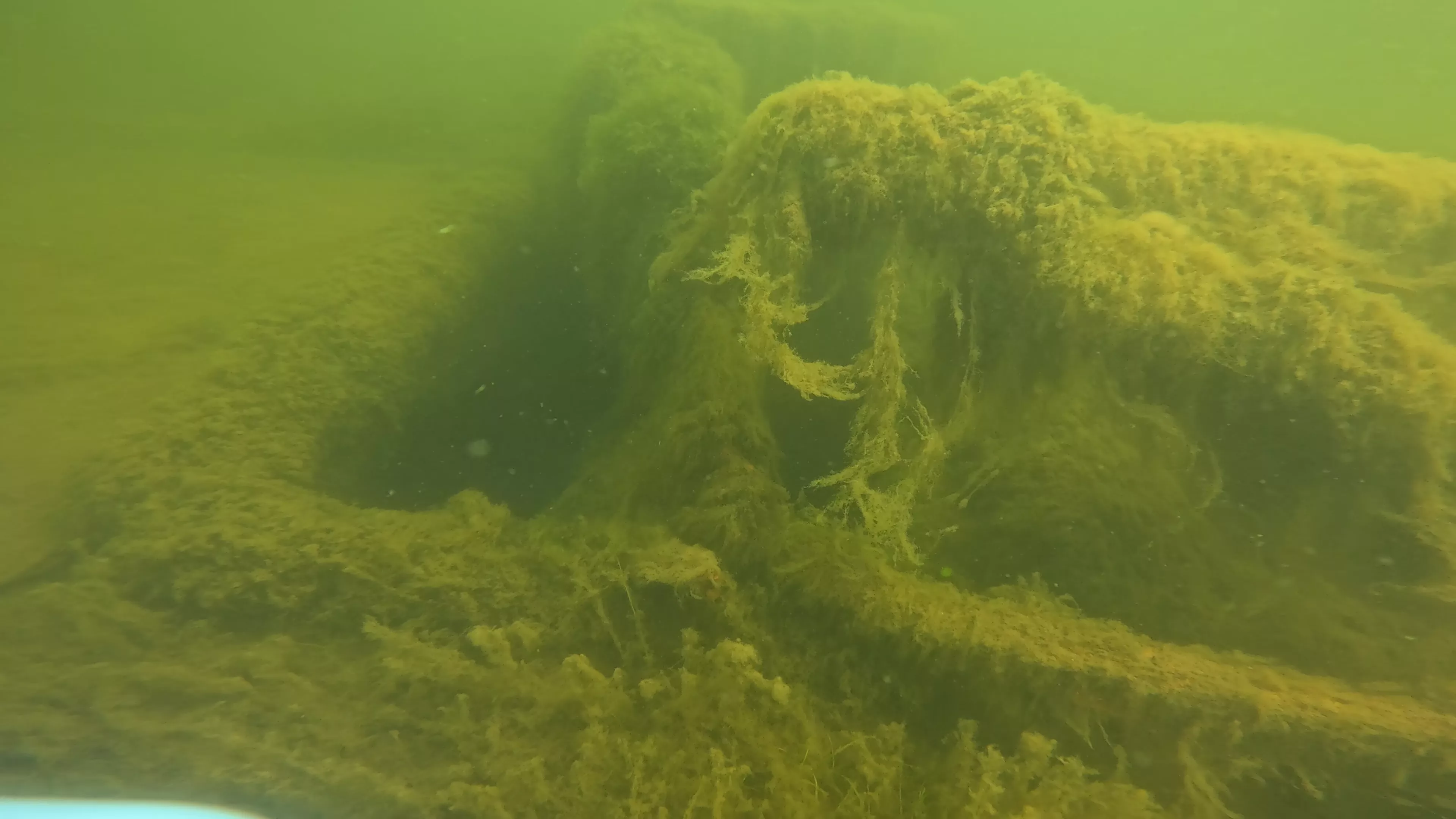 Onondaga: 165' USCG Cutter Wreck (LU099), Ballard Ship Canal, Seattle, WA — photo 2 of 22