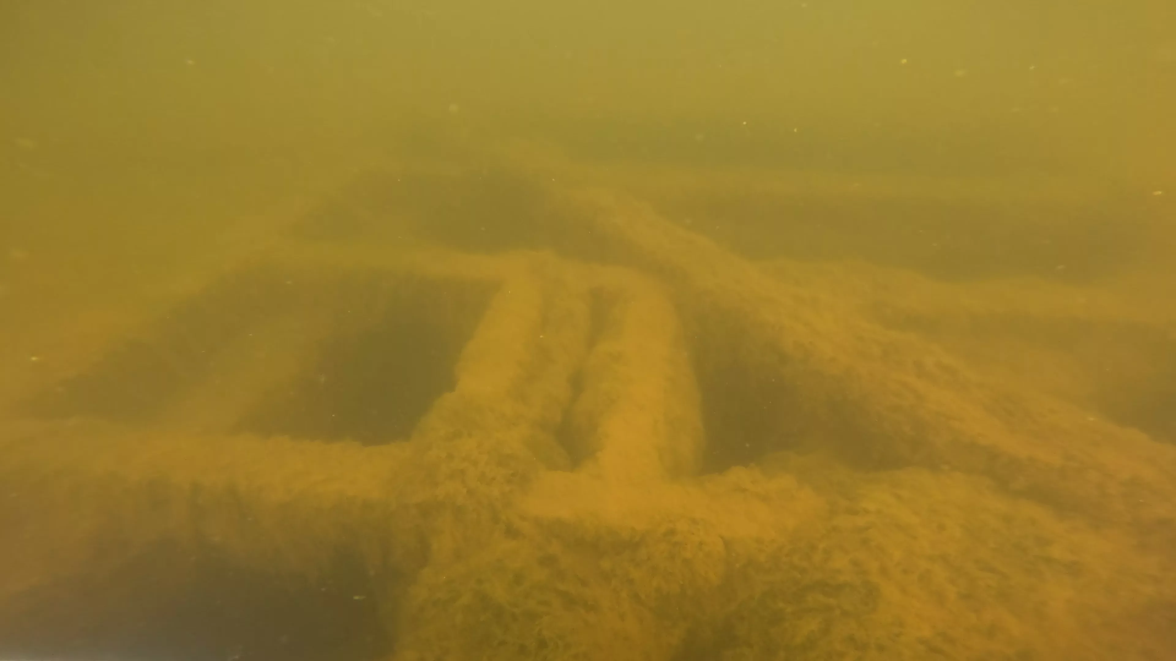Onondaga: 165' USCG Cutter Wreck (LU099), Ballard Ship Canal, Seattle, WA — photo 5 of 22