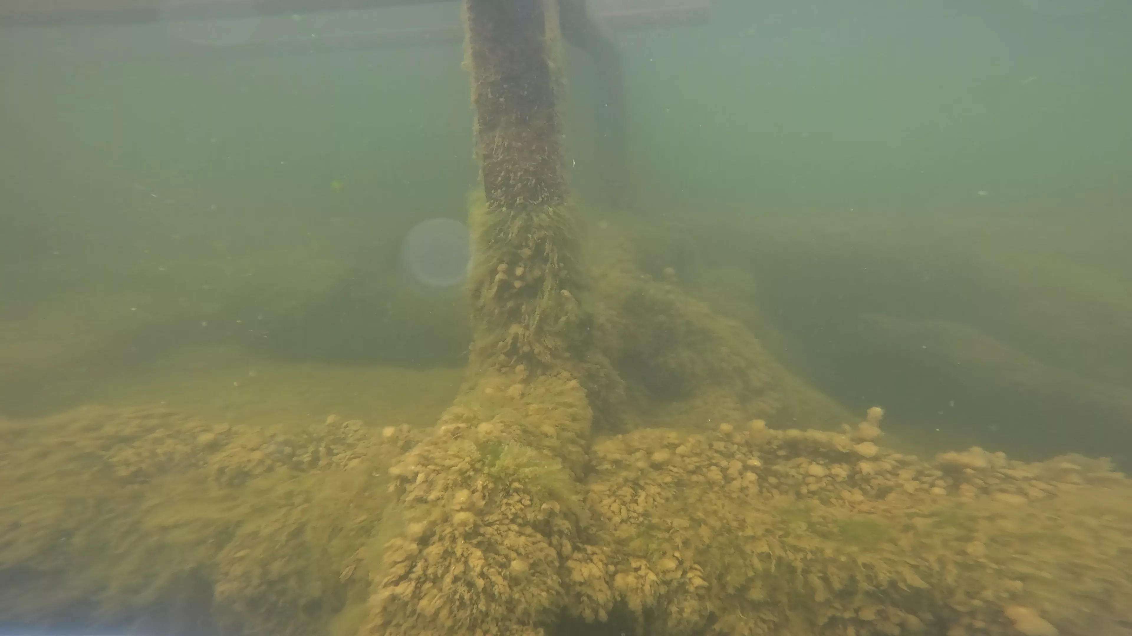 Onondaga: 165' USCG Cutter Wreck (LU099), Ballard Ship Canal, Seattle, WA — photo 6 of 22