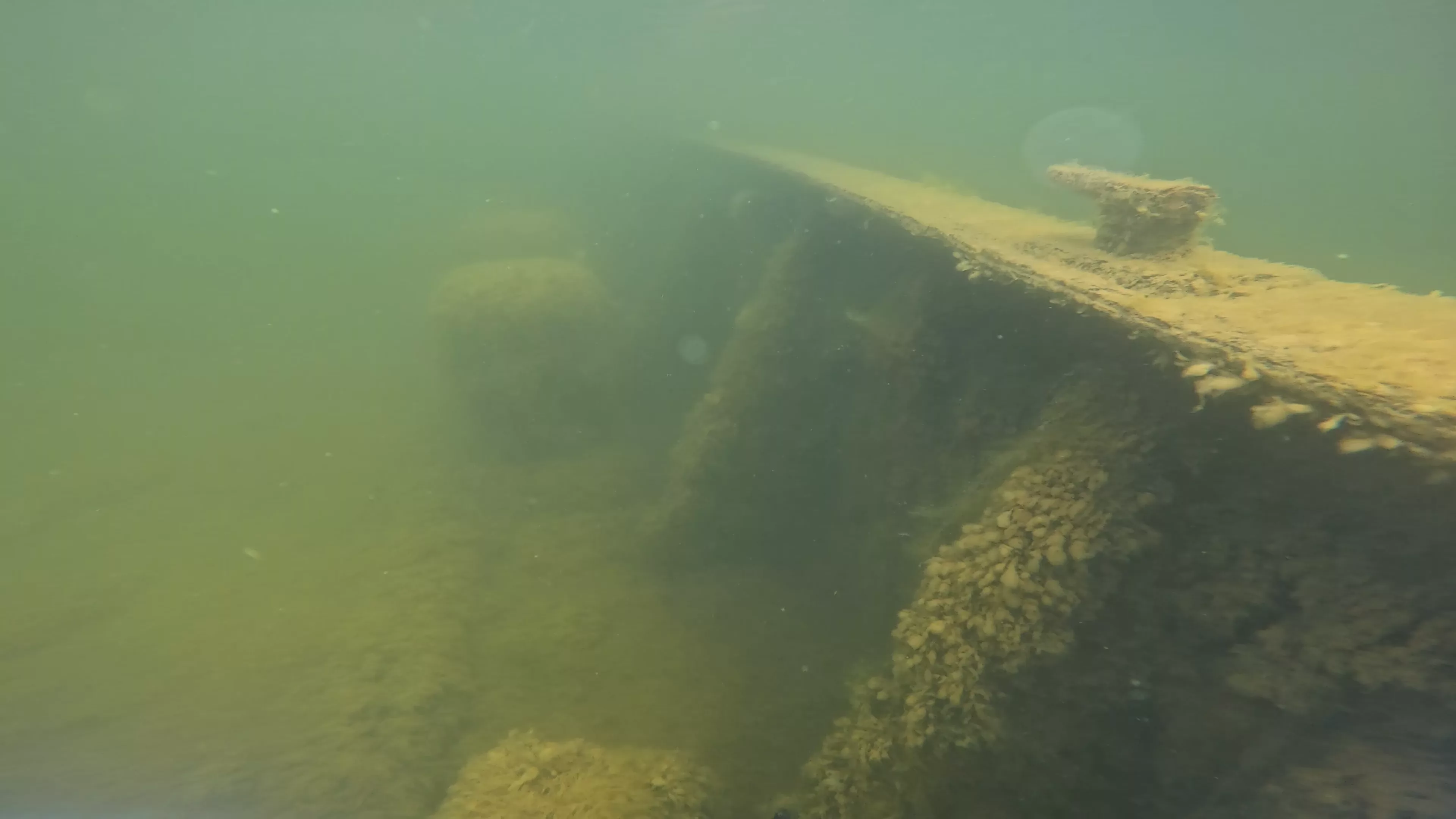 Onondaga: 165' USCG Cutter Wreck (LU099), Ballard Ship Canal, Seattle, WA — photo 9 of 22