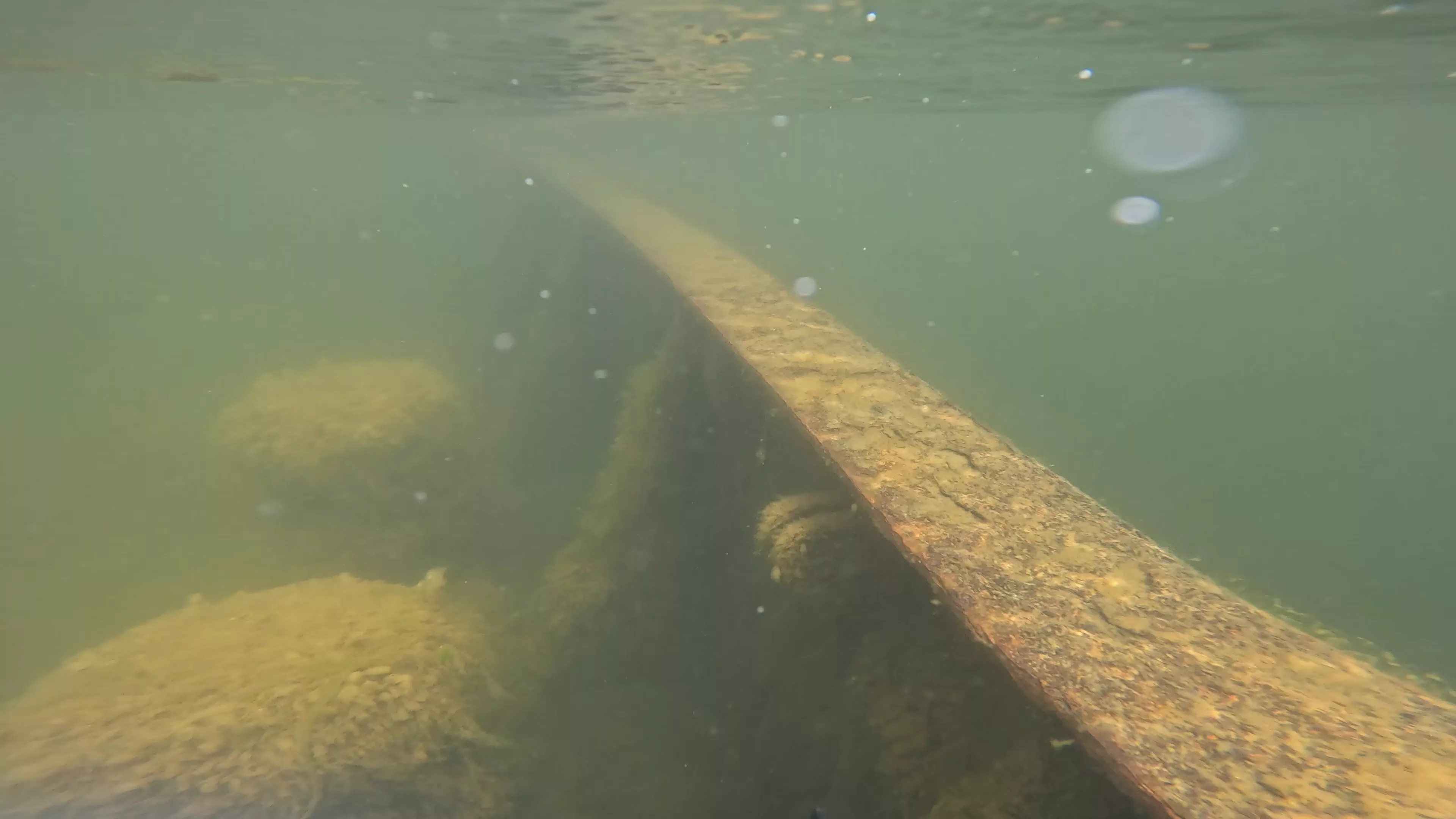 Onondaga: 165' USCG Cutter Wreck (LU099), Ballard Ship Canal, Seattle, WA — photo 10 of 22