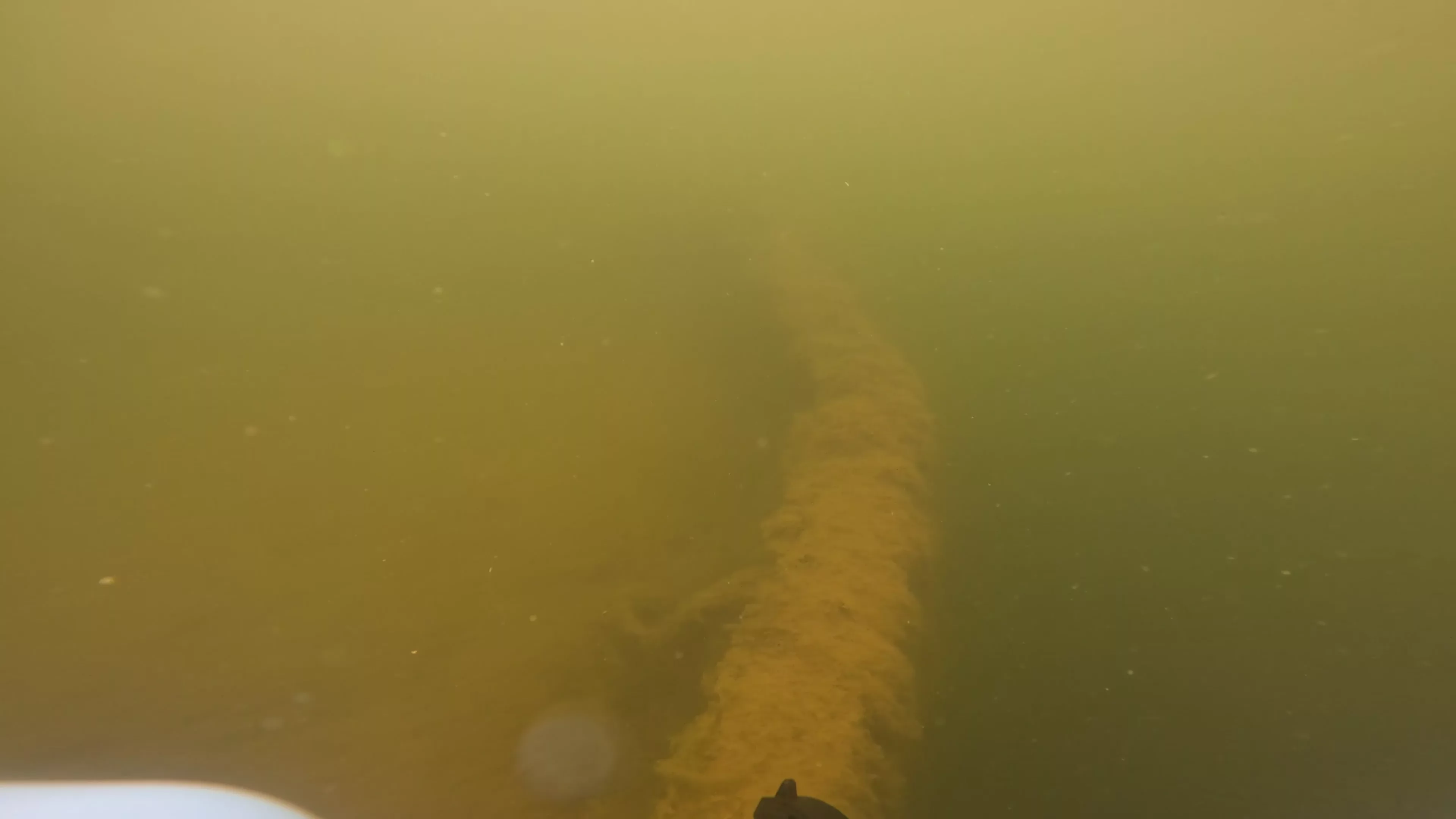 Onondaga: 165' USCG Cutter Wreck (LU099), Ballard Ship Canal, Seattle, WA — photo 14 of 22