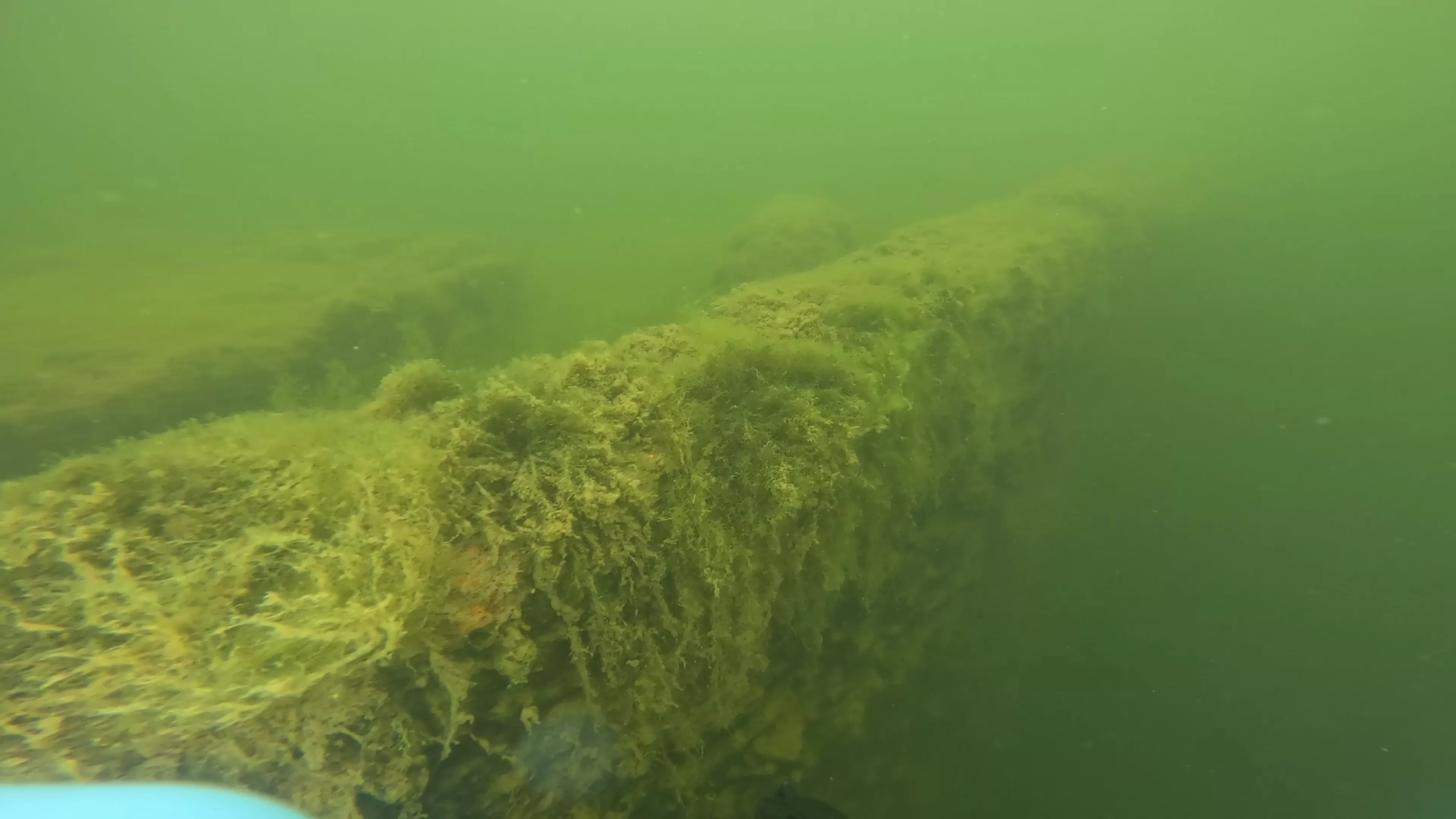 Onondaga: 165' USCG Cutter Wreck (LU099), Ballard Ship Canal, Seattle, WA — photo 15 of 22