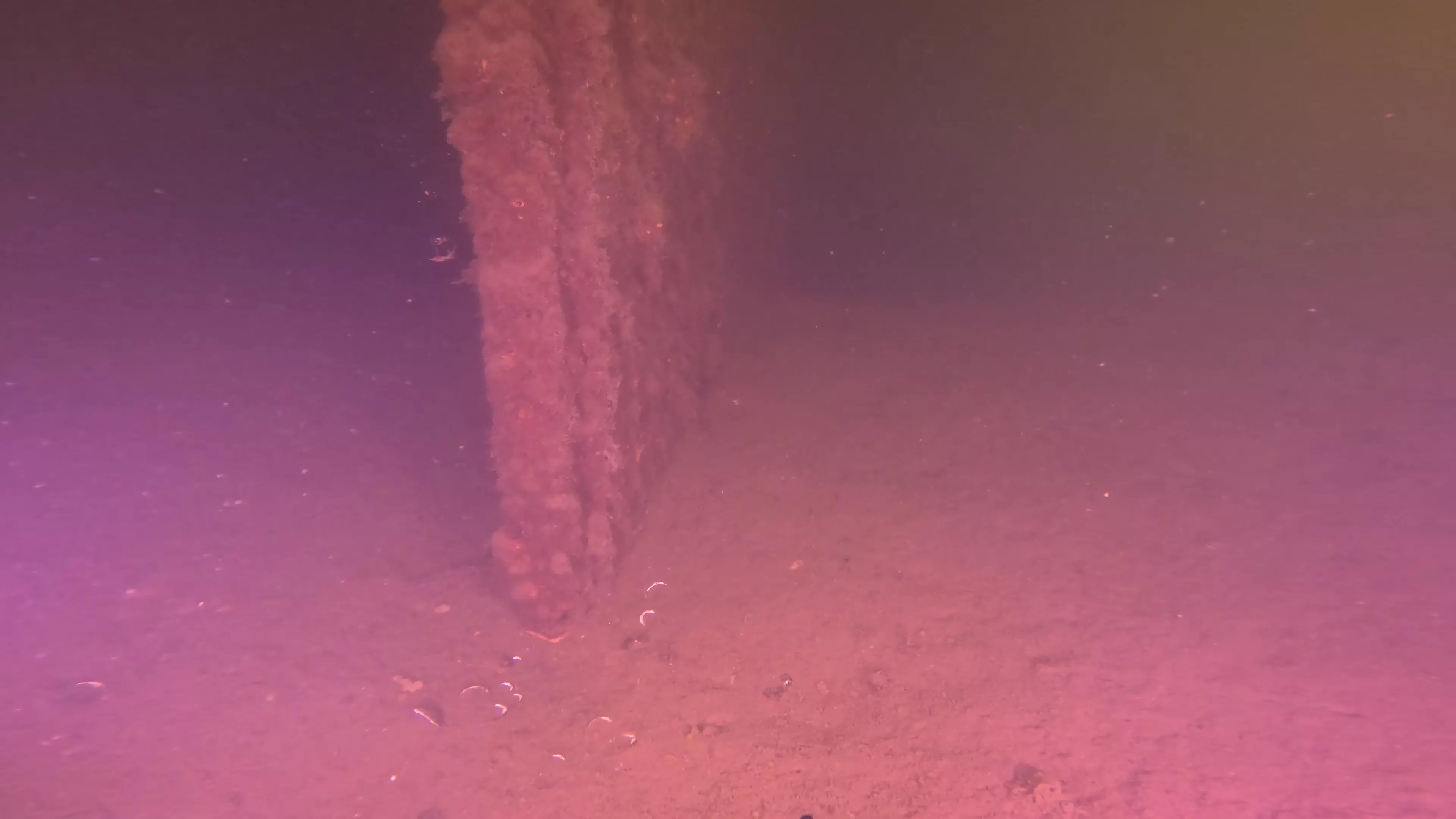 Onondaga: 165' USCG Cutter Wreck (LU099), Ballard Ship Canal, Seattle, WA — photo 17 of 22
