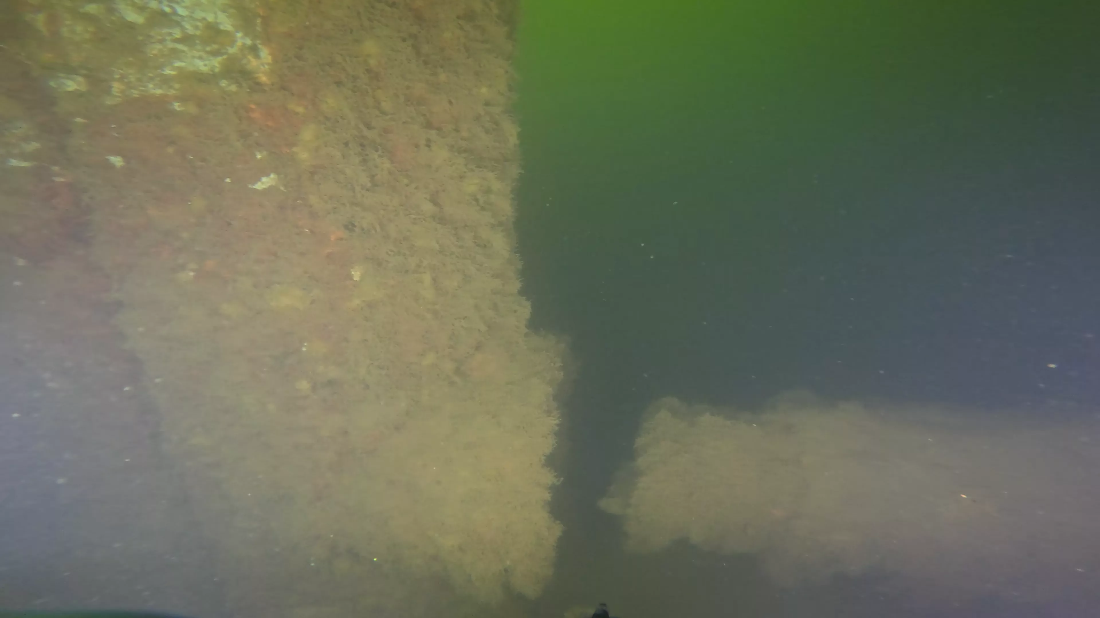 Onondaga: 165' USCG Cutter Wreck (LU099), Ballard Ship Canal, Seattle, WA — photo 18 of 22