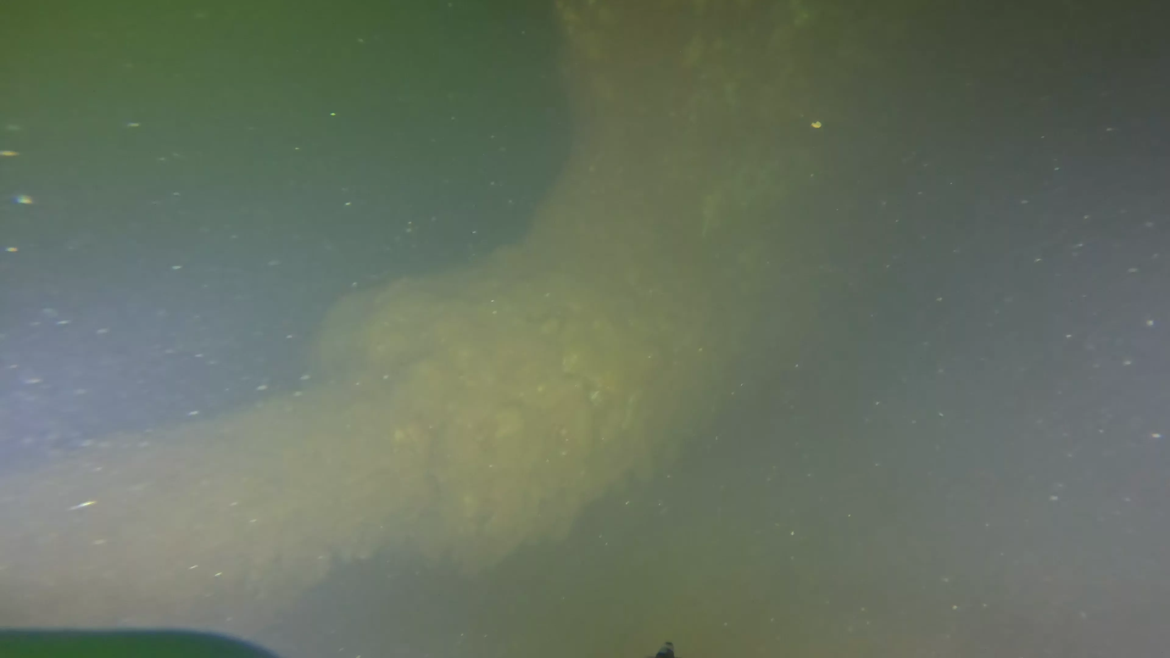 Onondaga: 165' USCG Cutter Wreck (LU099), Ballard Ship Canal, Seattle, WA — photo 19 of 22