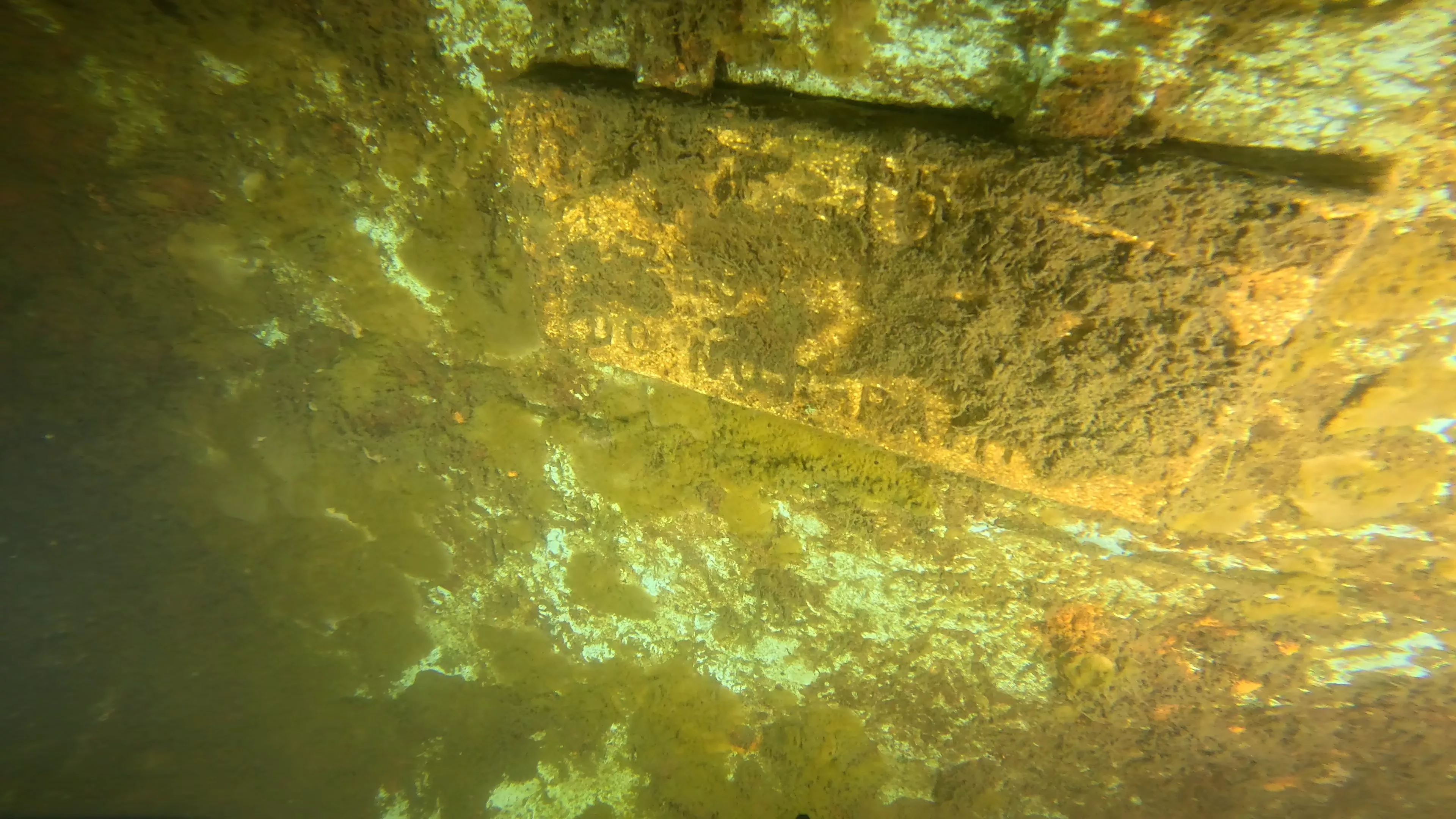 Onondaga: 165' USCG Cutter Wreck (LU099), Ballard Ship Canal, Seattle, WA — photo 20 of 22