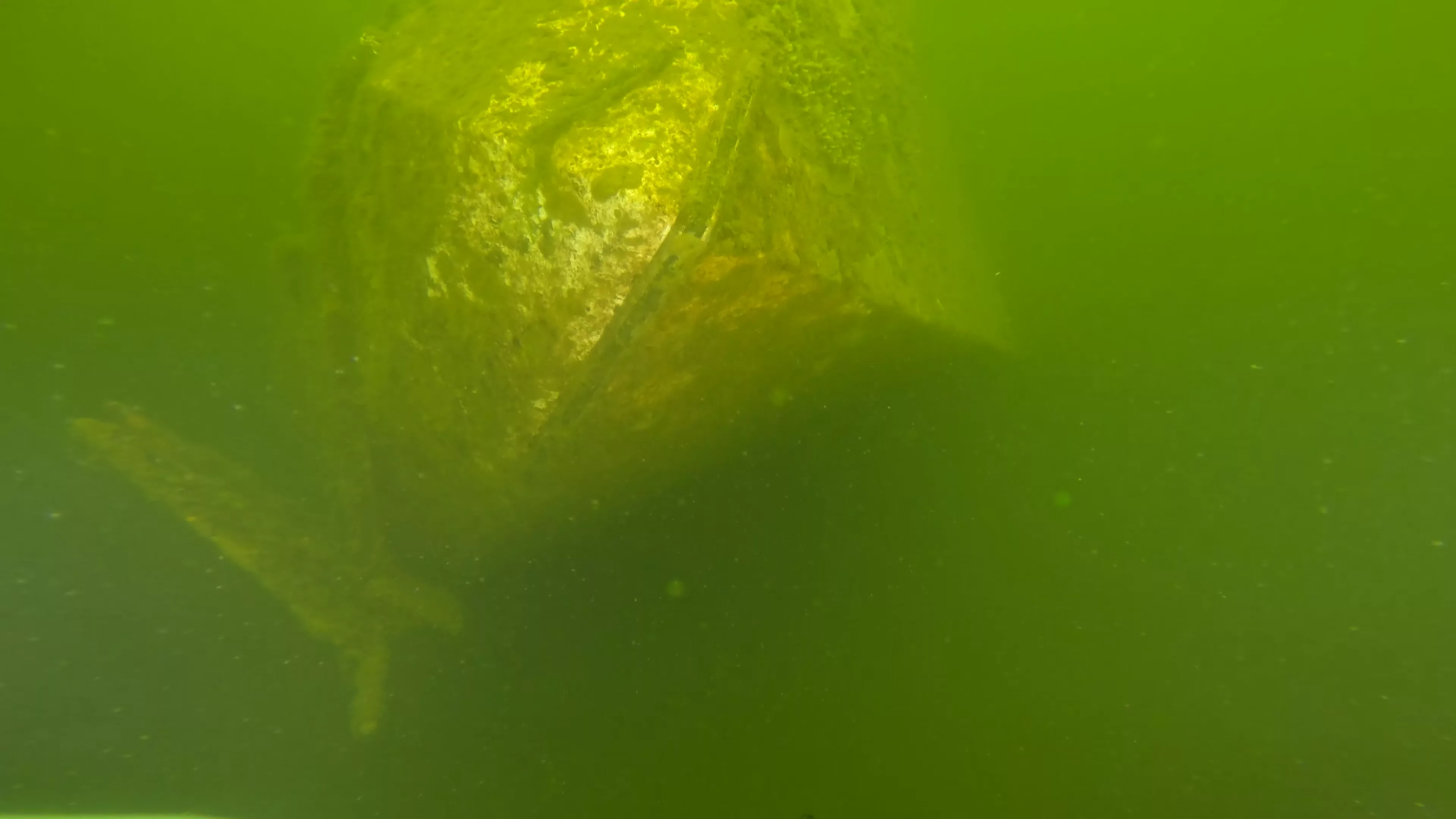 Fiberglass Cruiser Wreck (LU100), Ballard Ship Canal, Seattle, WA — photo 2 of 7
