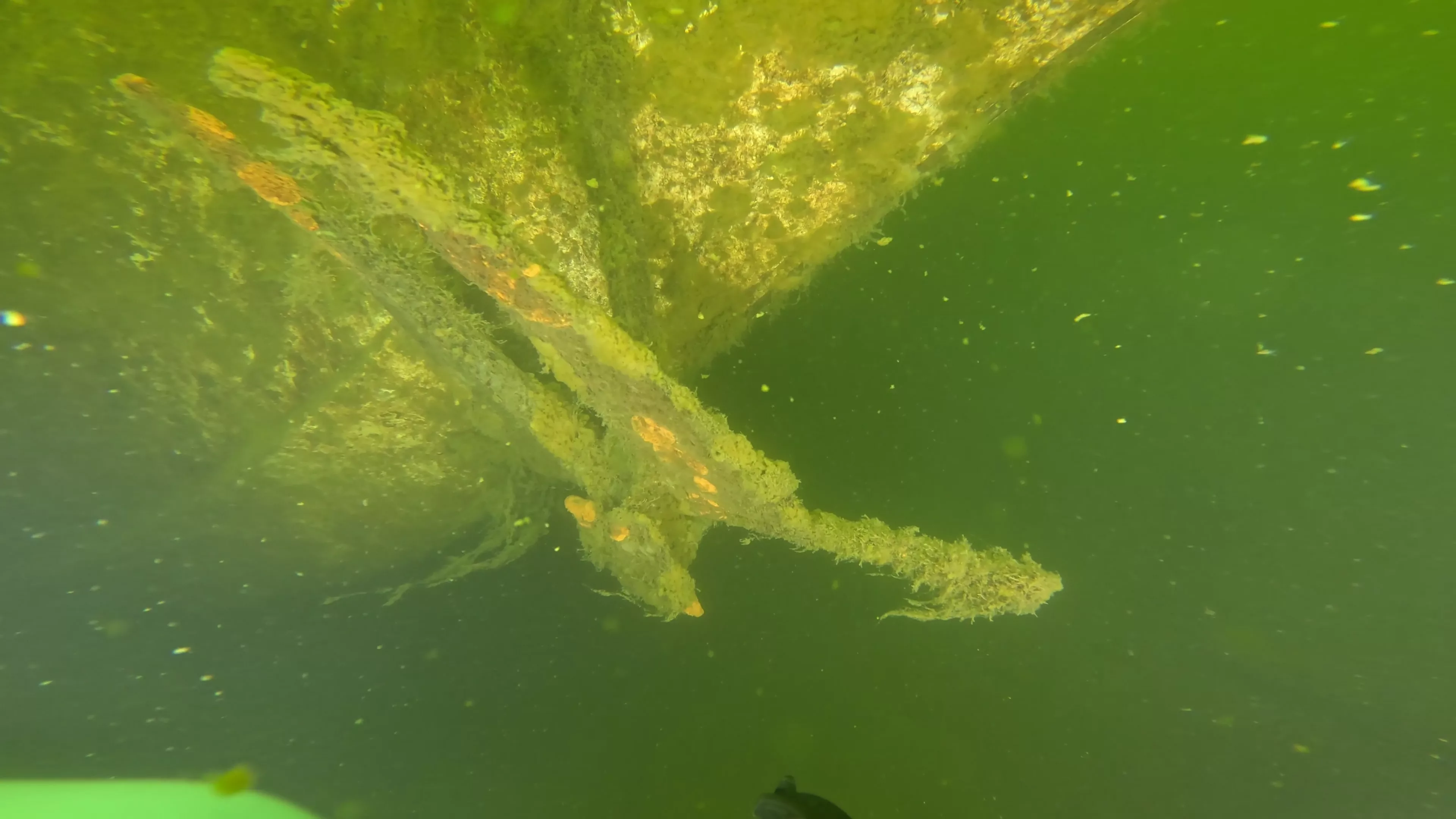 Fiberglass Cruiser Wreck (LU100), Ballard Ship Canal, Seattle, WA — photo 6 of 7