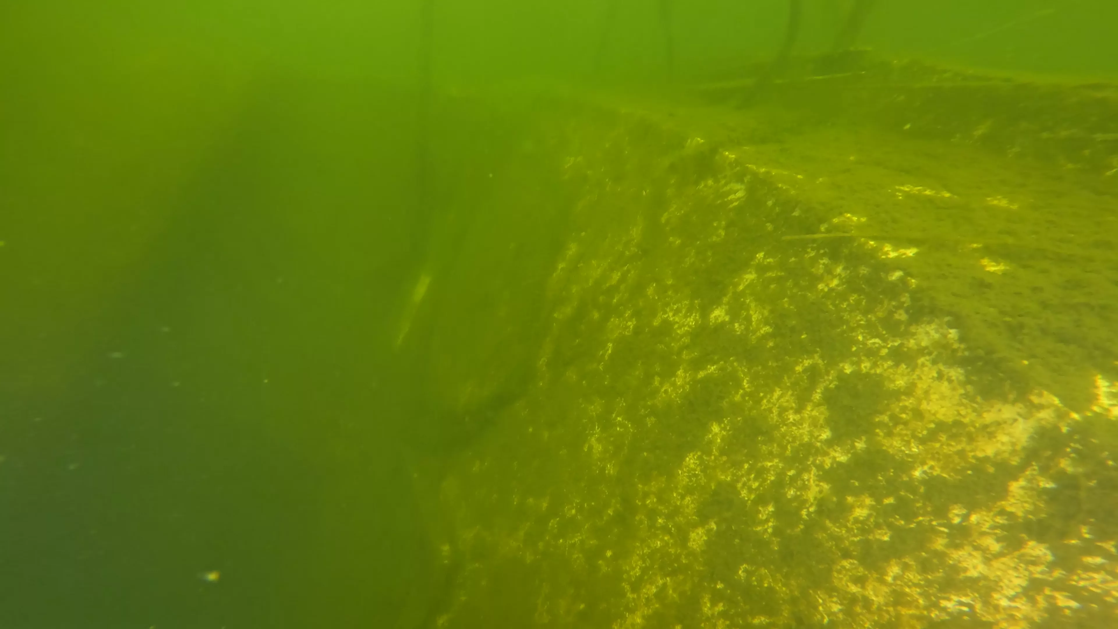 Fiberglass Cruiser Wreck (LU100), Ballard Ship Canal, Seattle, WA — main photo