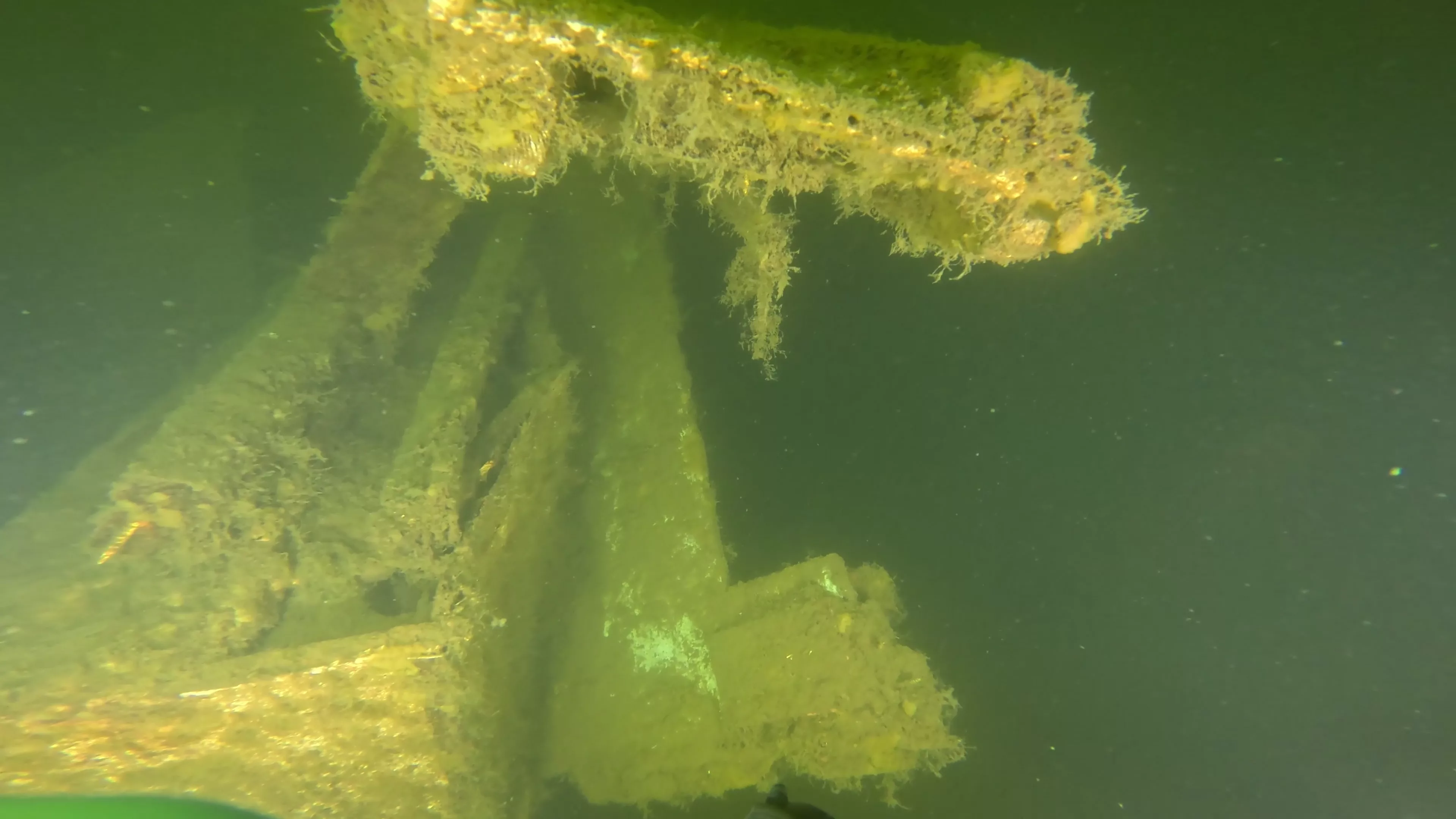 Mixed-Material Cruiser Wreck (LU101), Ballard Ship Canal, Seattle, WA — photo 6 of 12