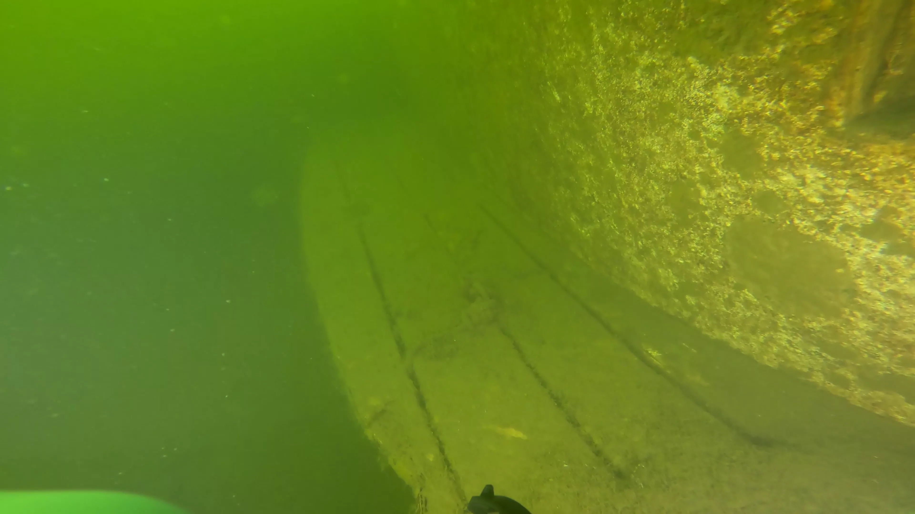 Mixed-Material Cruiser Wreck (LU101), Ballard Ship Canal, Seattle, WA — photo 7 of 12