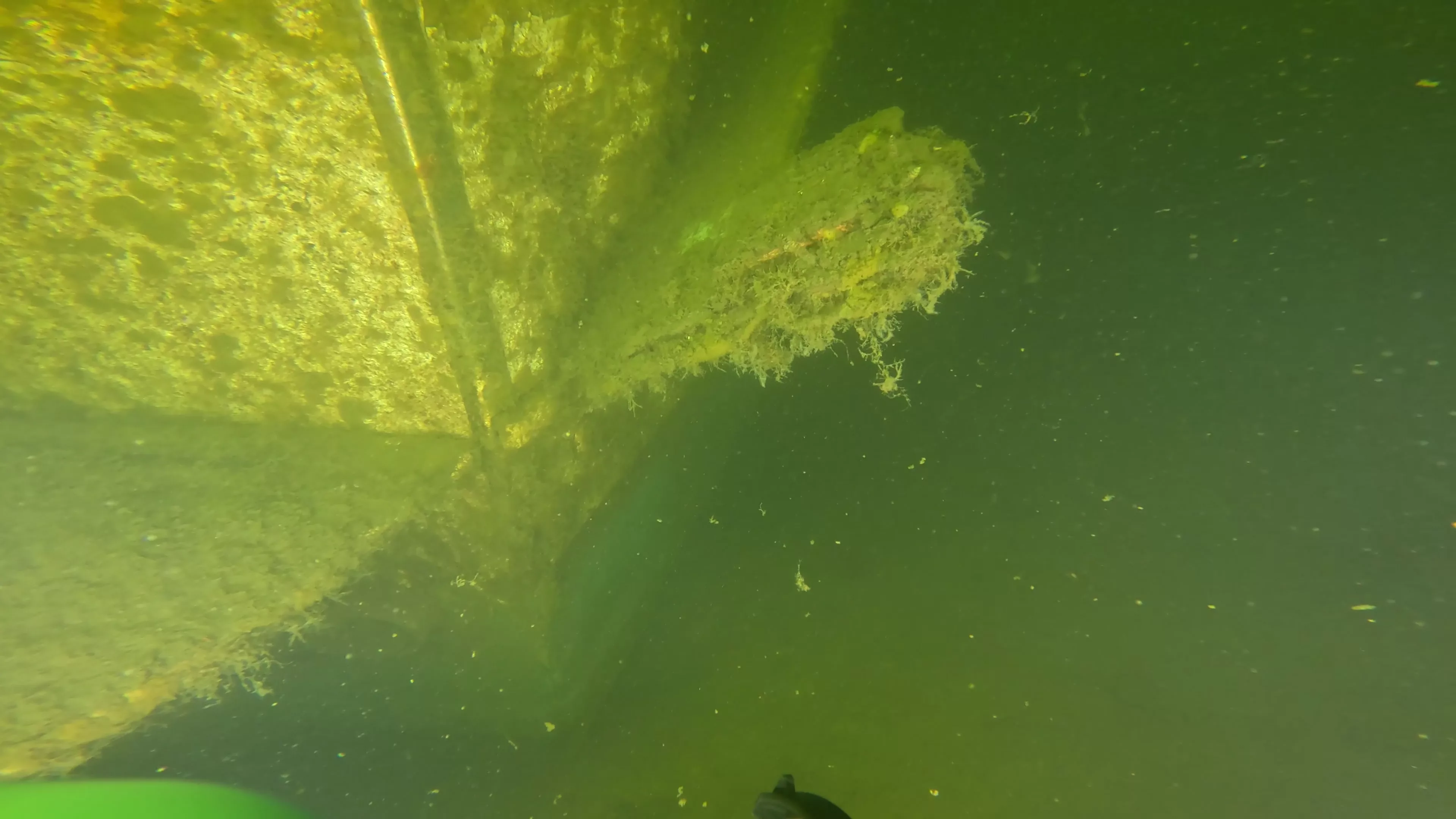 Mixed-Material Cruiser Wreck (LU101), Ballard Ship Canal, Seattle, WA — photo 8 of 12