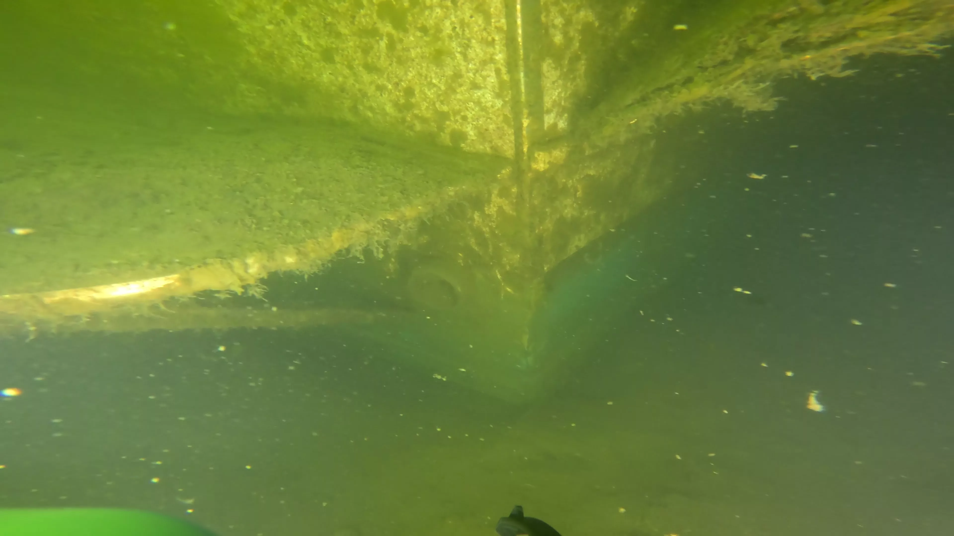 Mixed-Material Cruiser Wreck (LU101), Ballard Ship Canal, Seattle, WA — photo 9 of 12