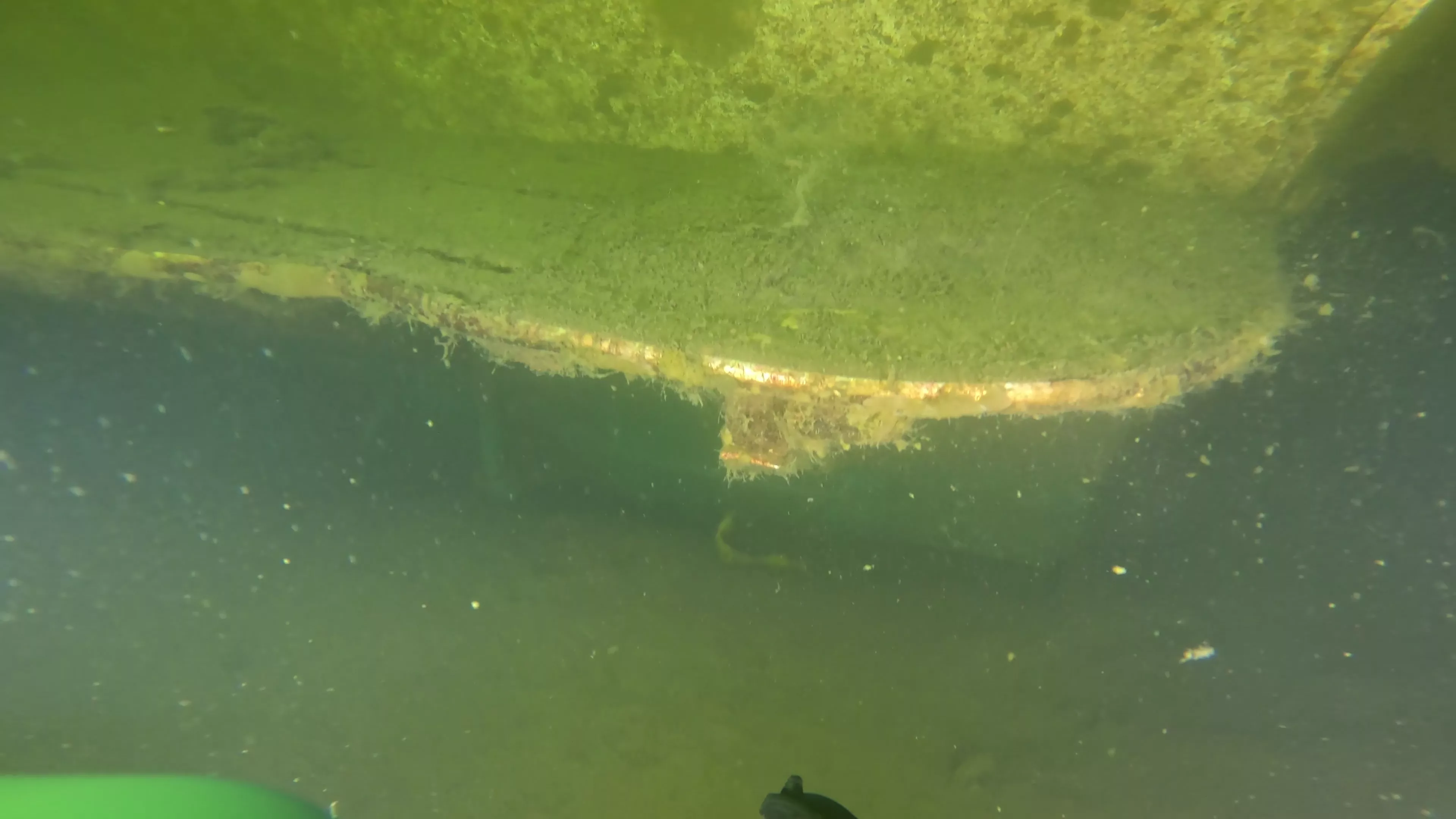 Mixed-Material Cruiser Wreck (LU101), Ballard Ship Canal, Seattle, WA — photo 10 of 12